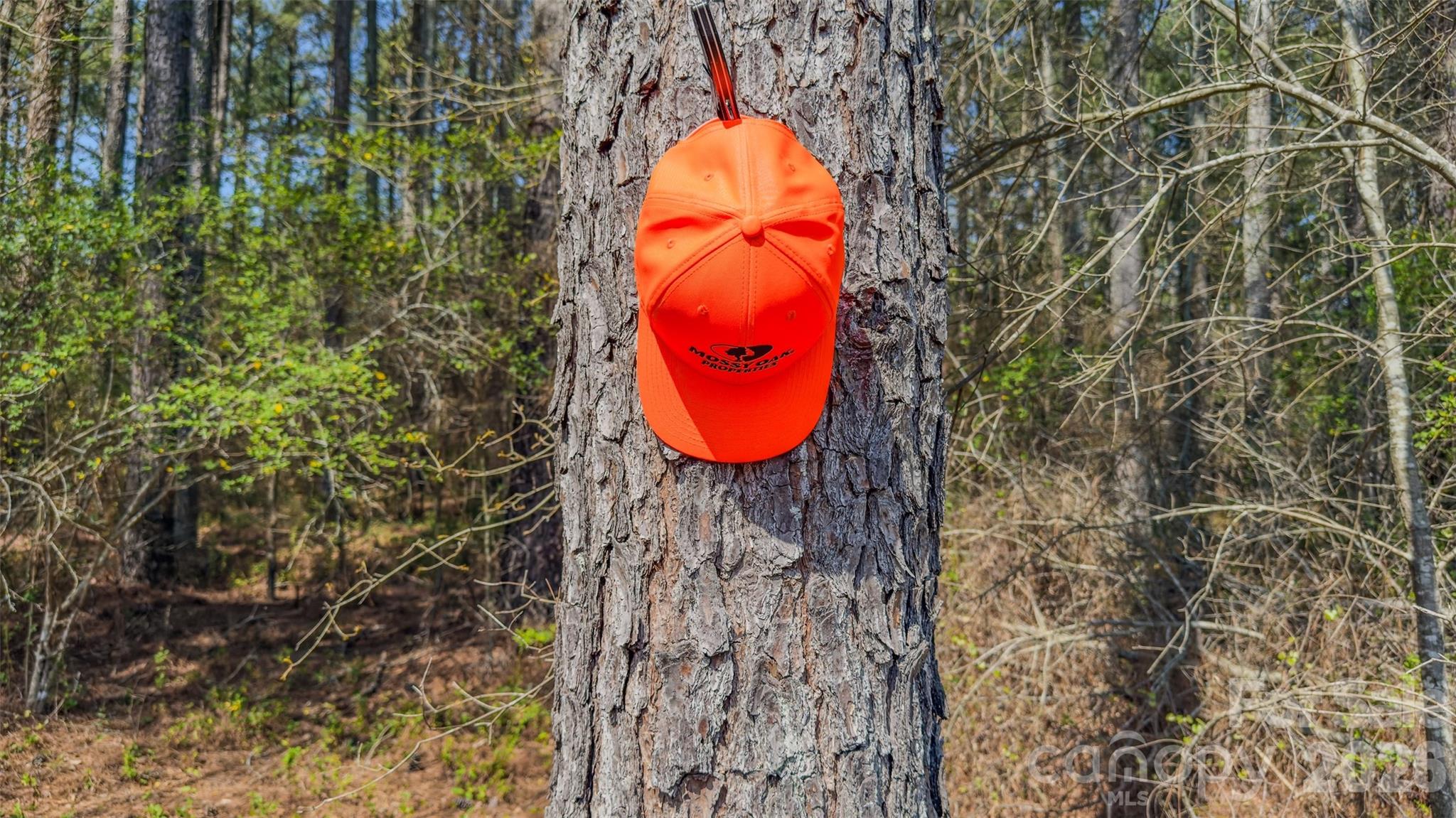Image 17