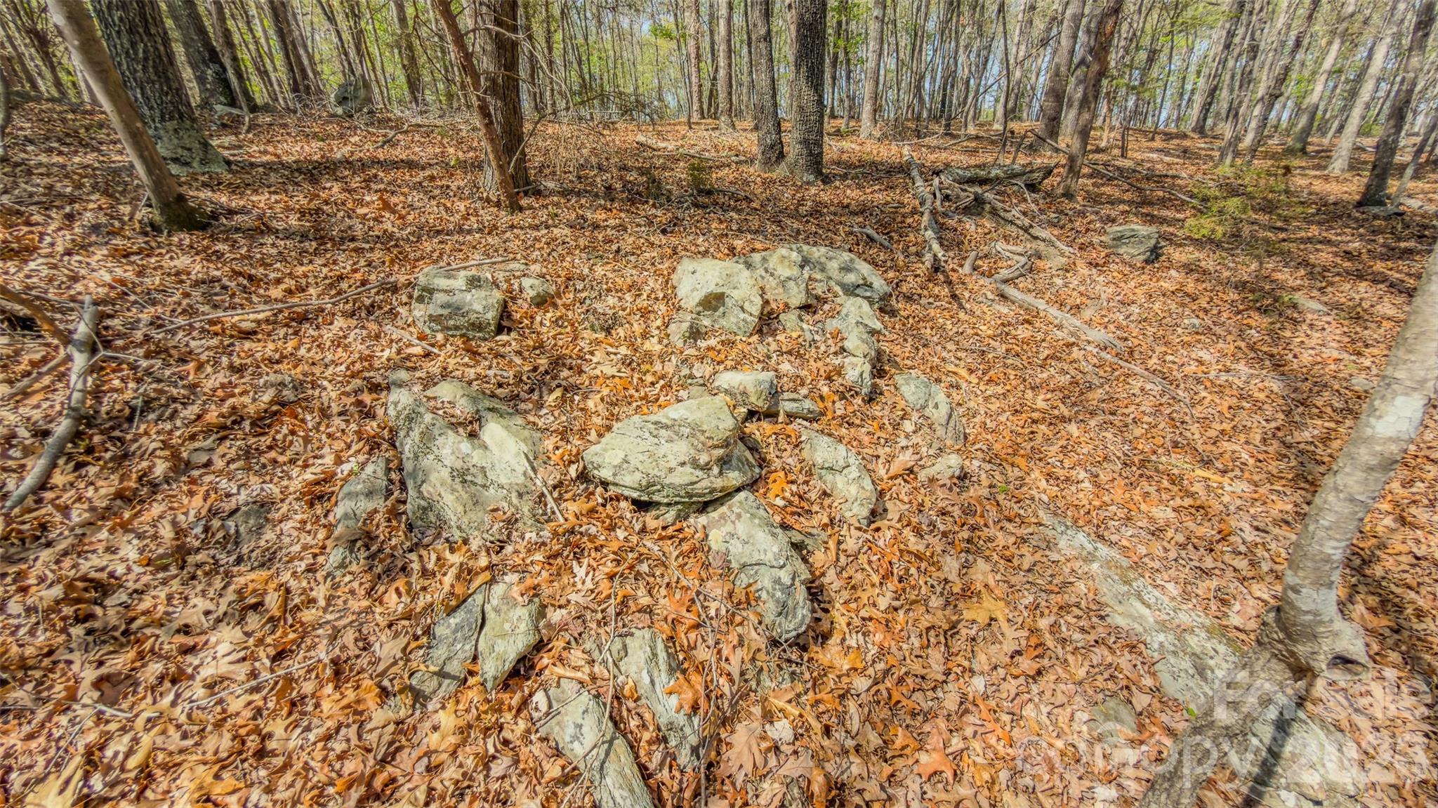 Image 19