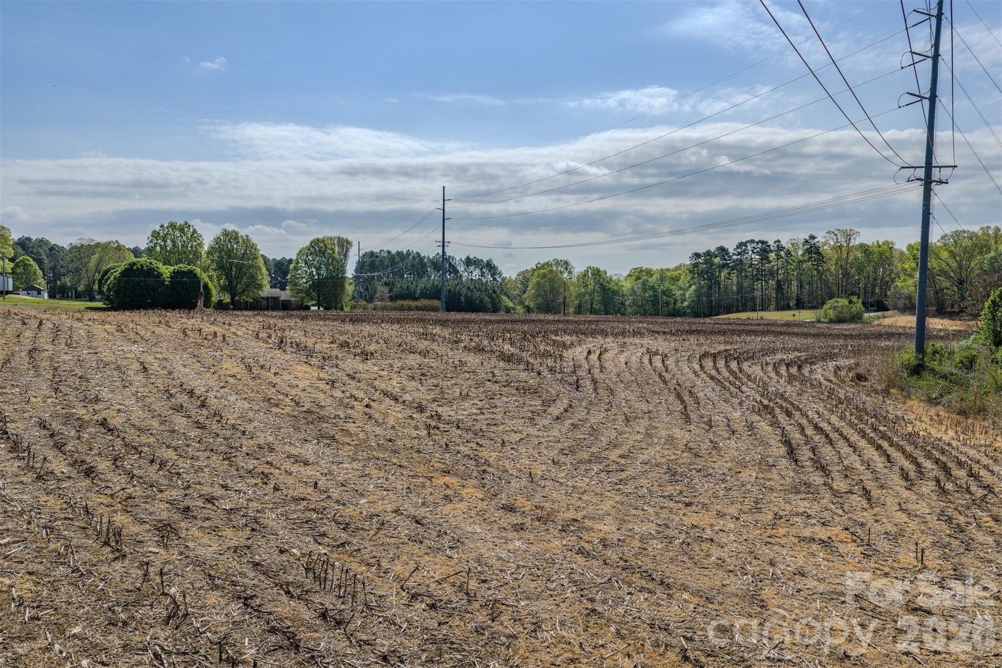 Image 31