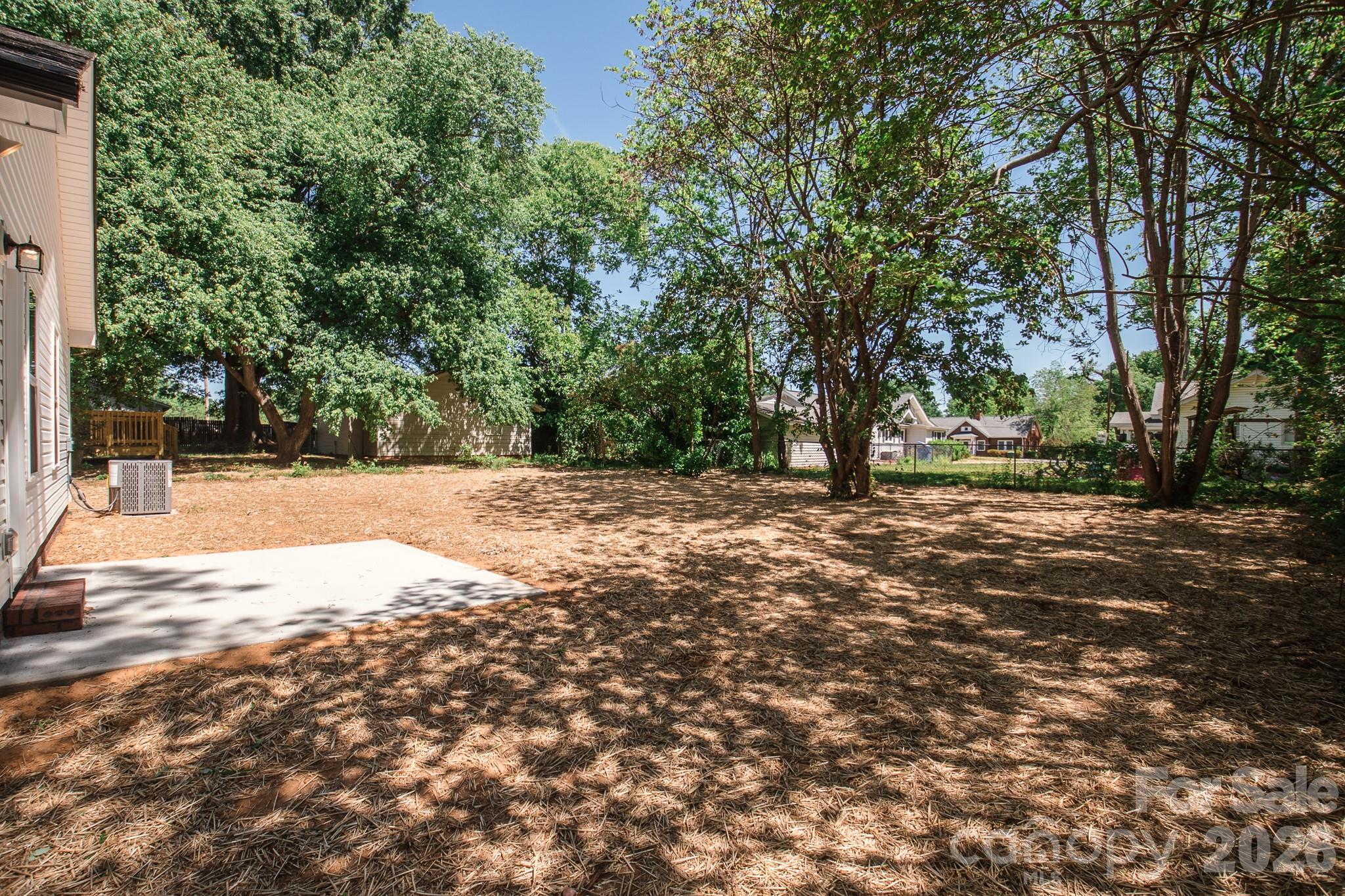Image 31