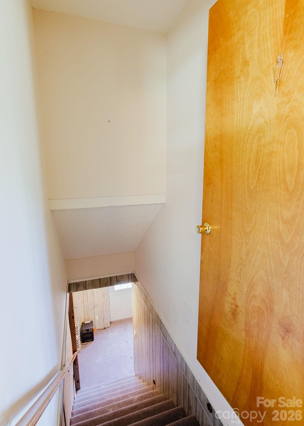 Image 19