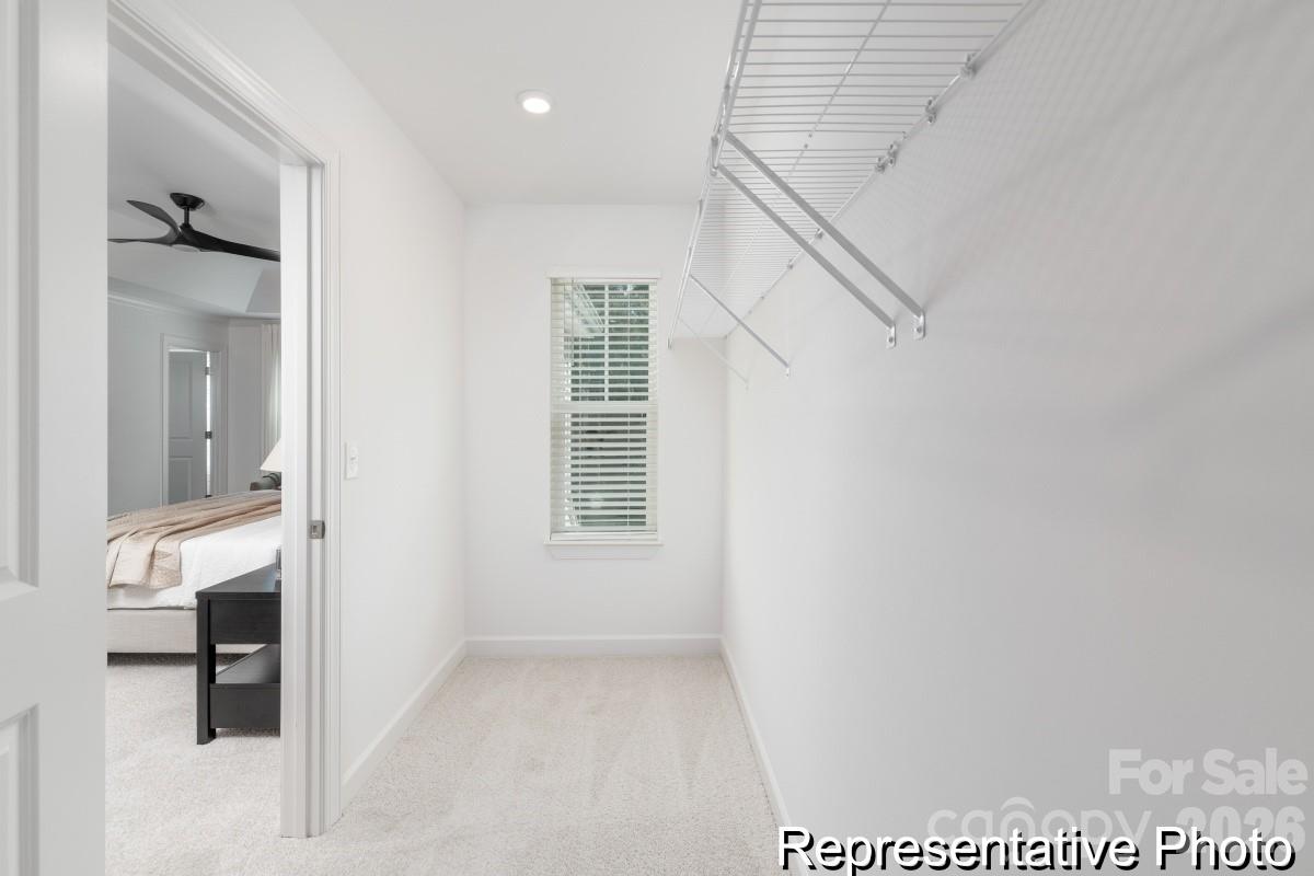 Image 17
