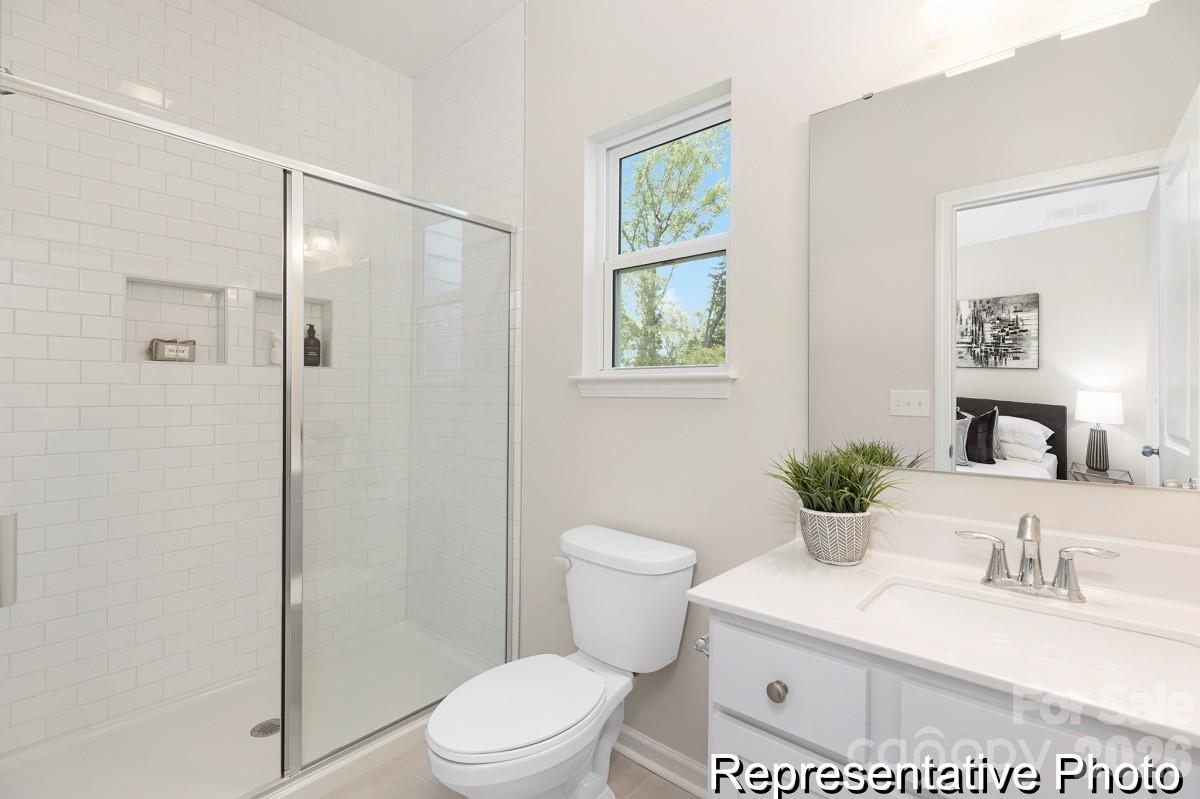Image 14