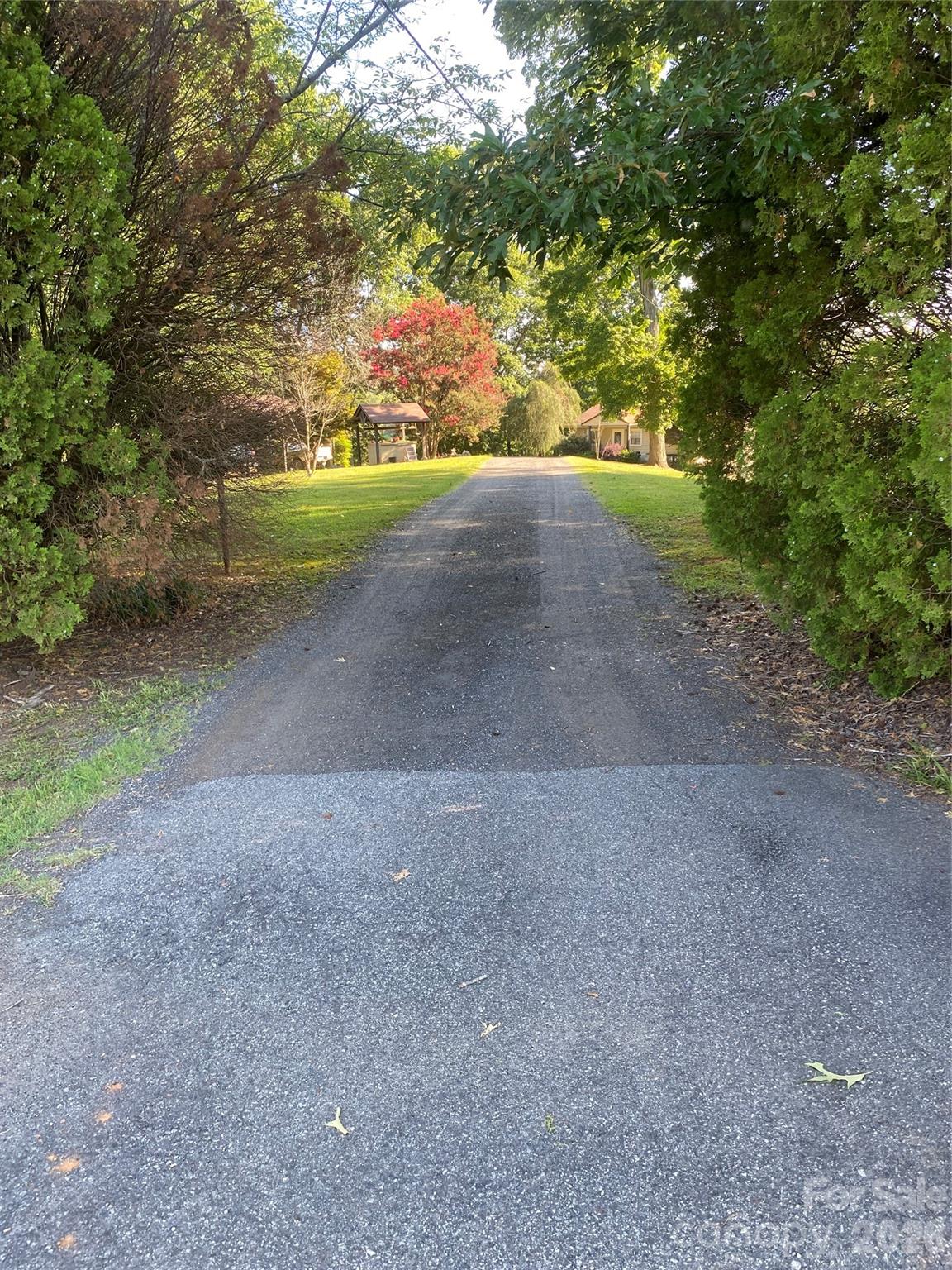 Image 31
