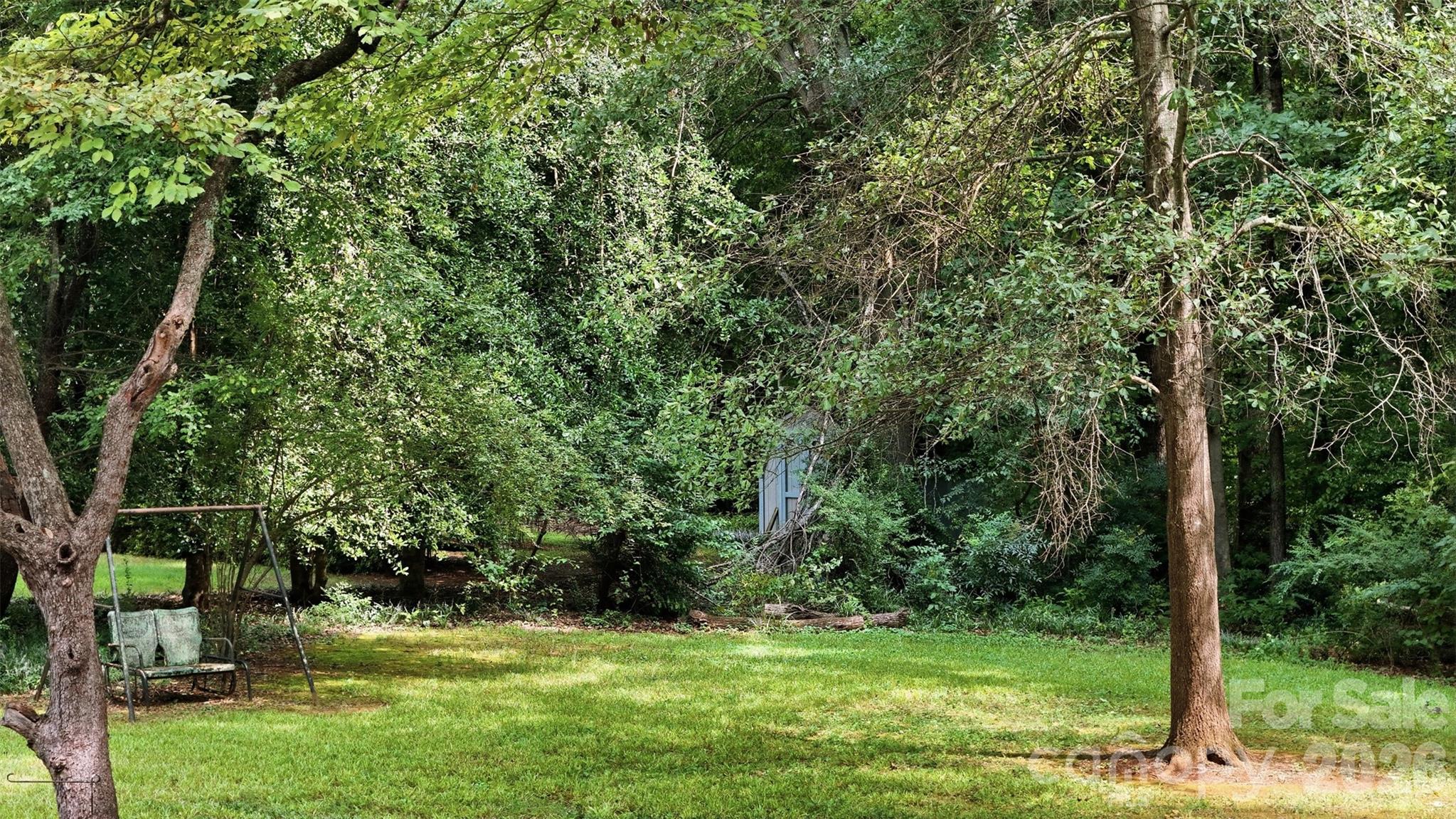 Image 30