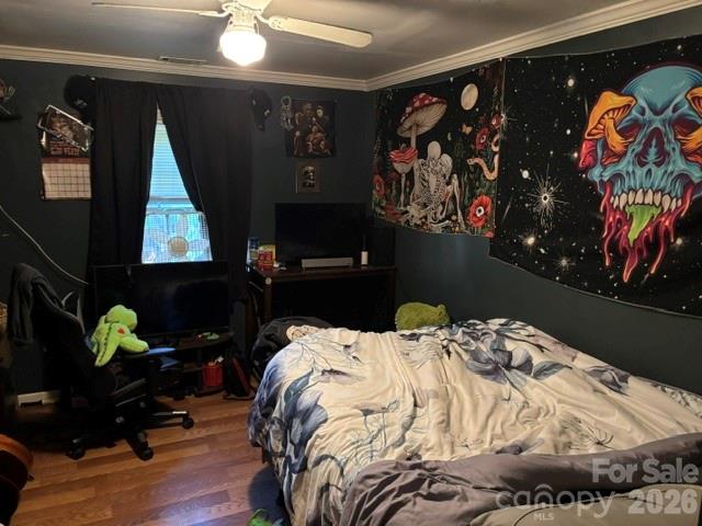 Image 15