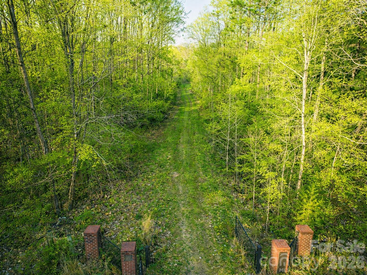 Image 40