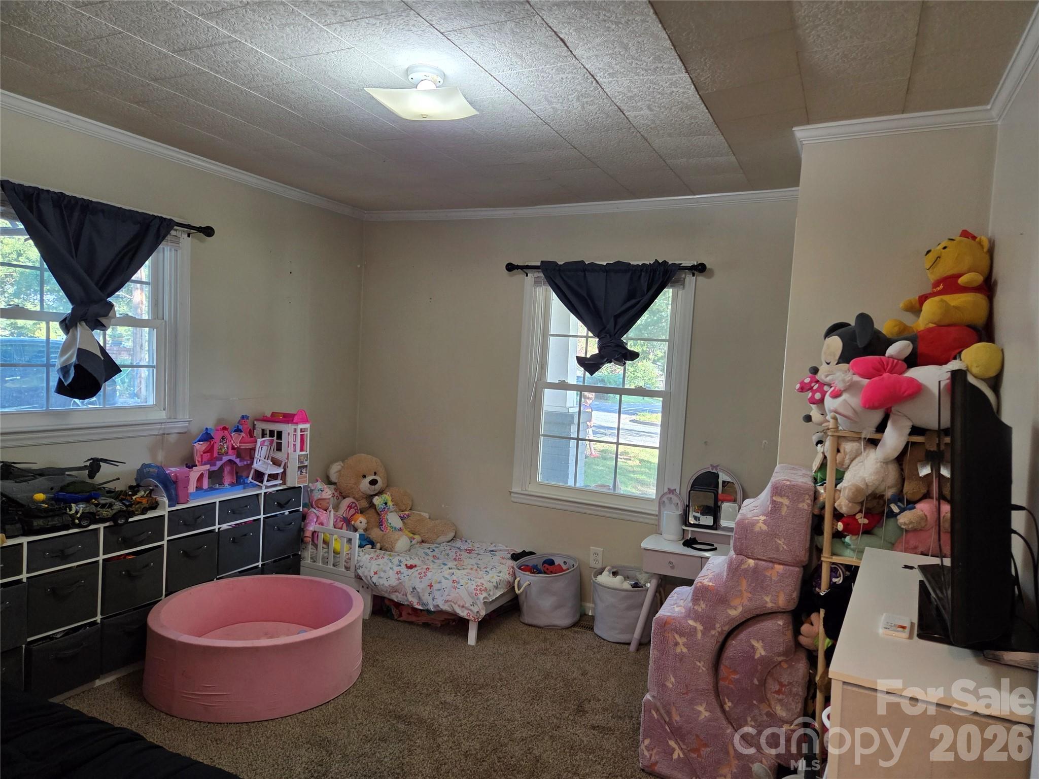 Image 11