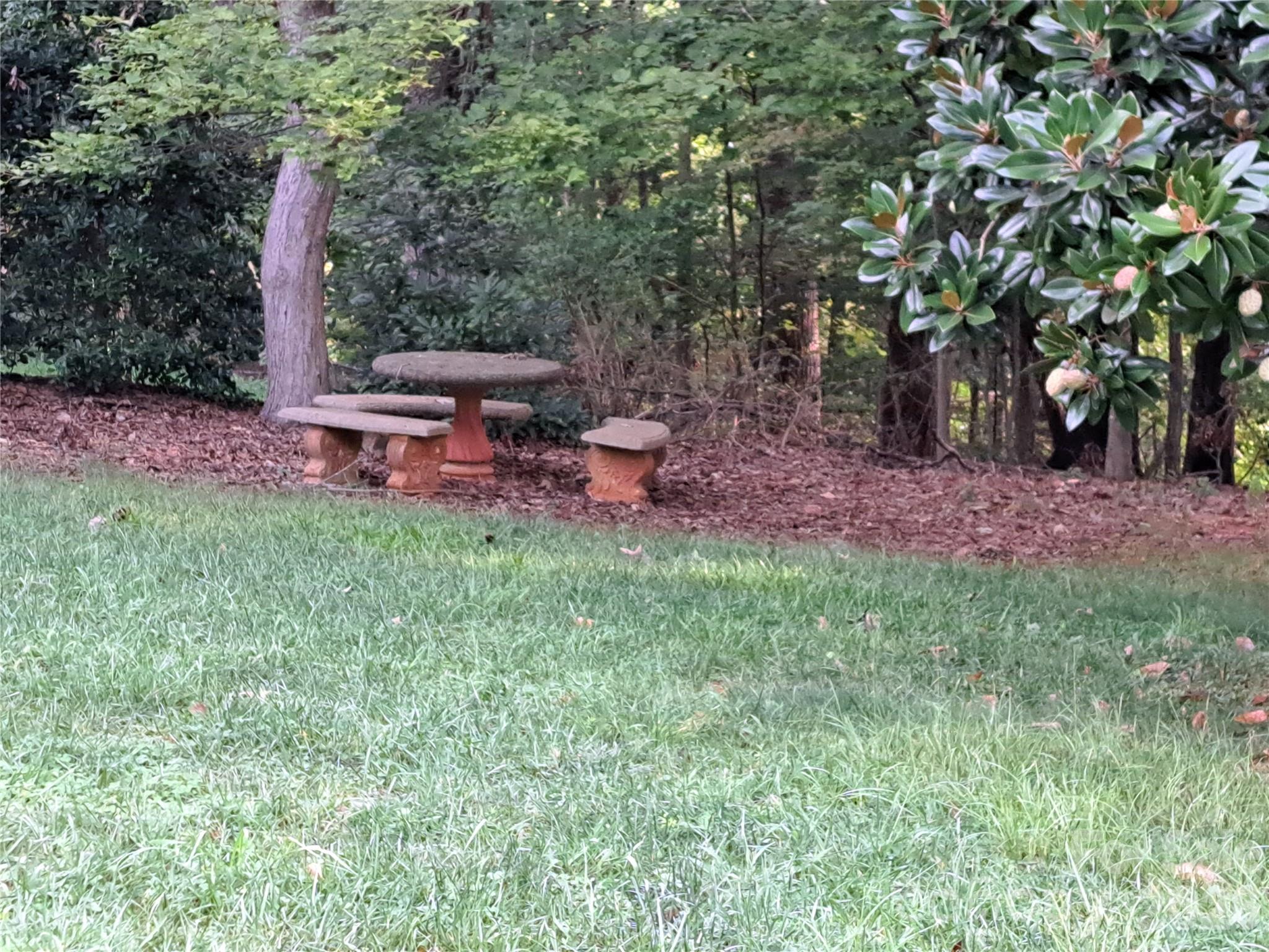Image 43