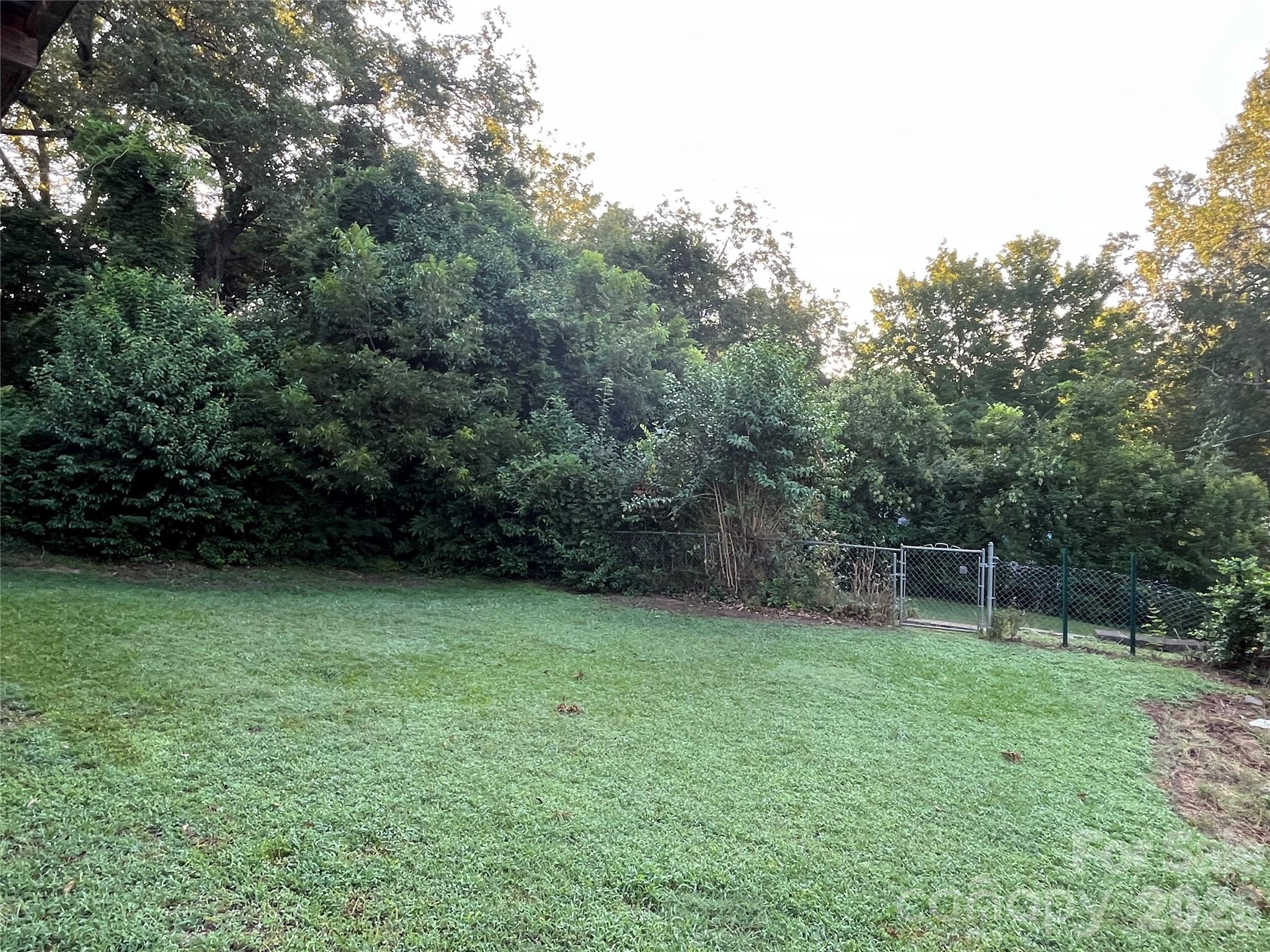 Image 18