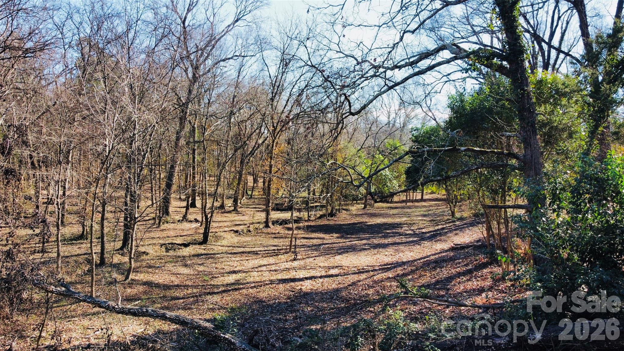 Image 13