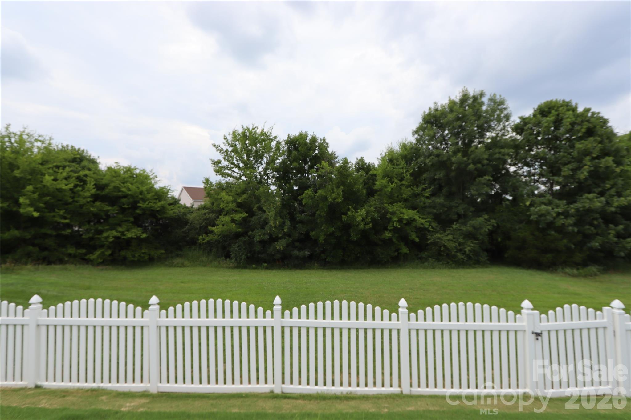 Image 37
