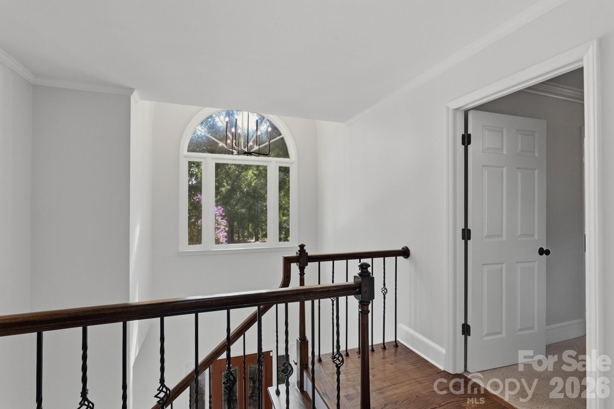 Image 16