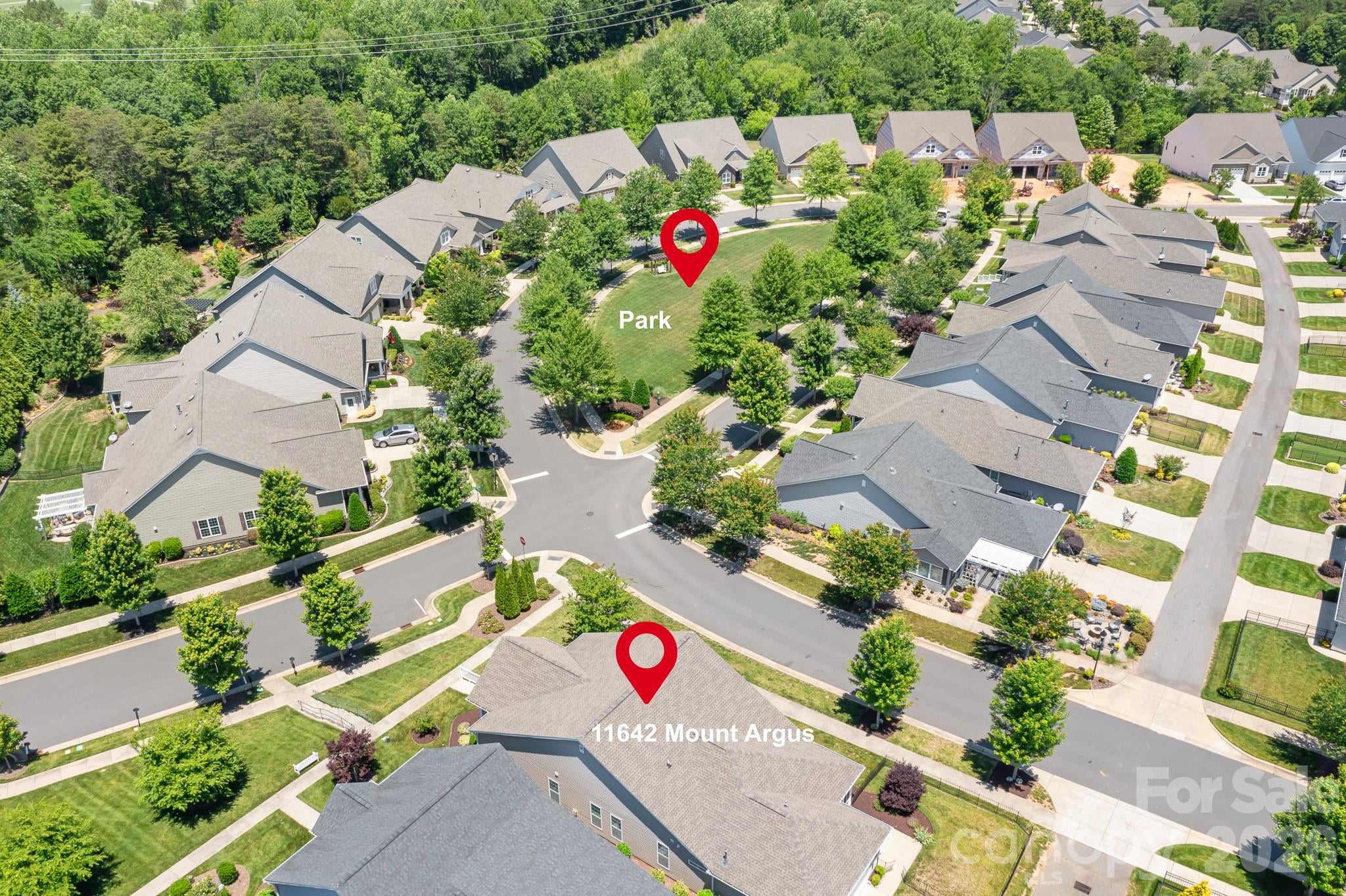 Image 33