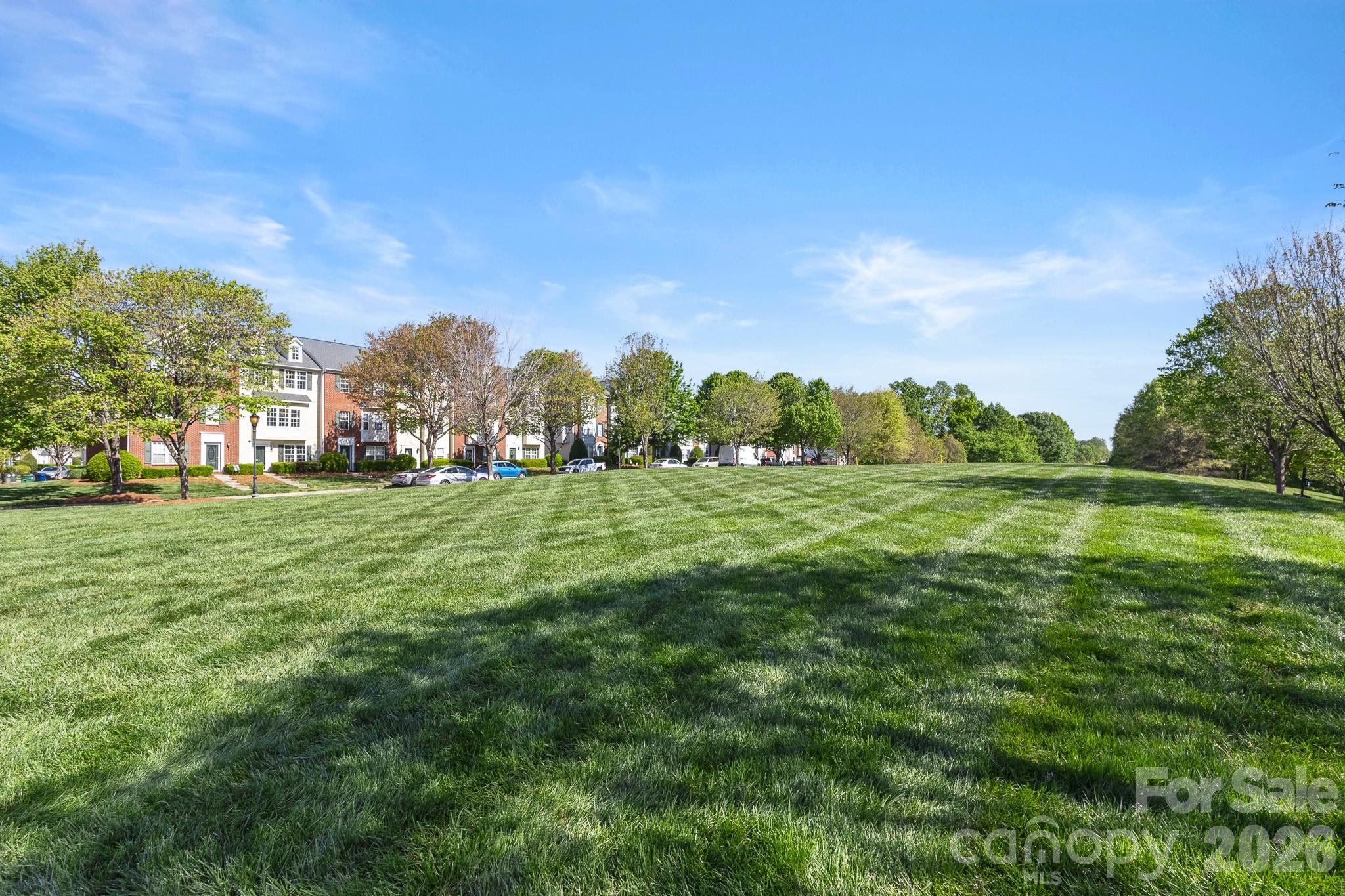 Image 46