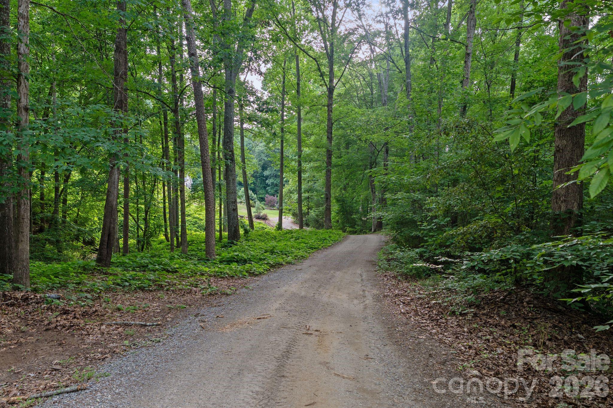 Image 46
