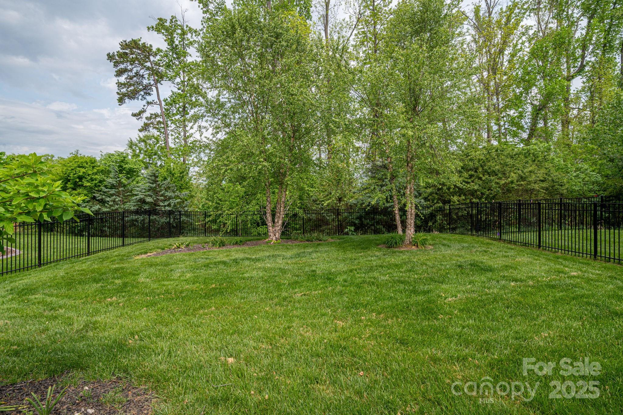 Property view 5