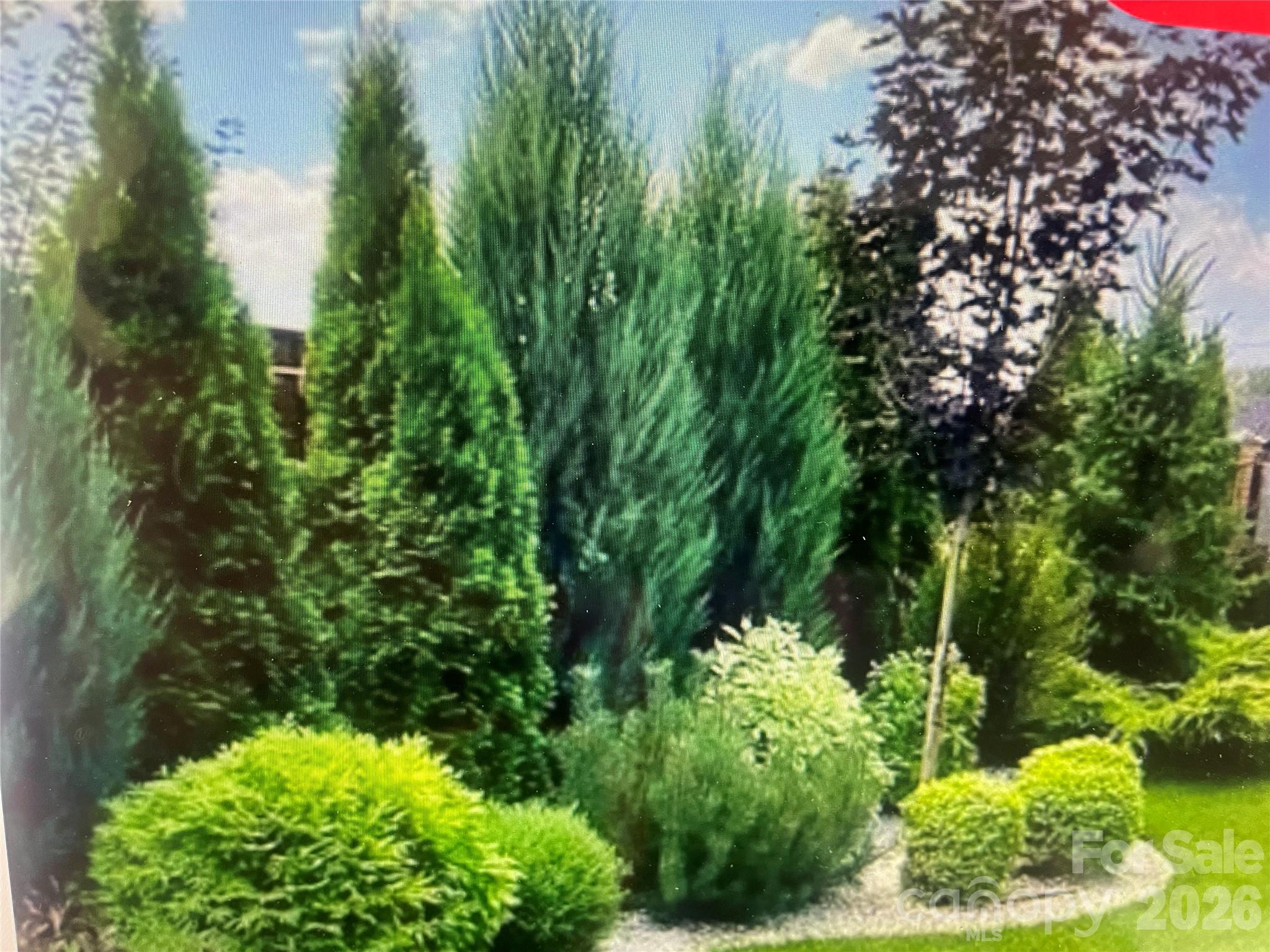 Image 33