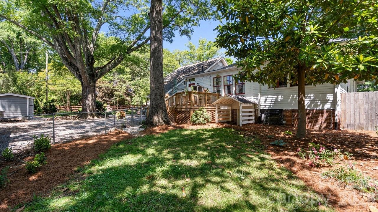 Image 31