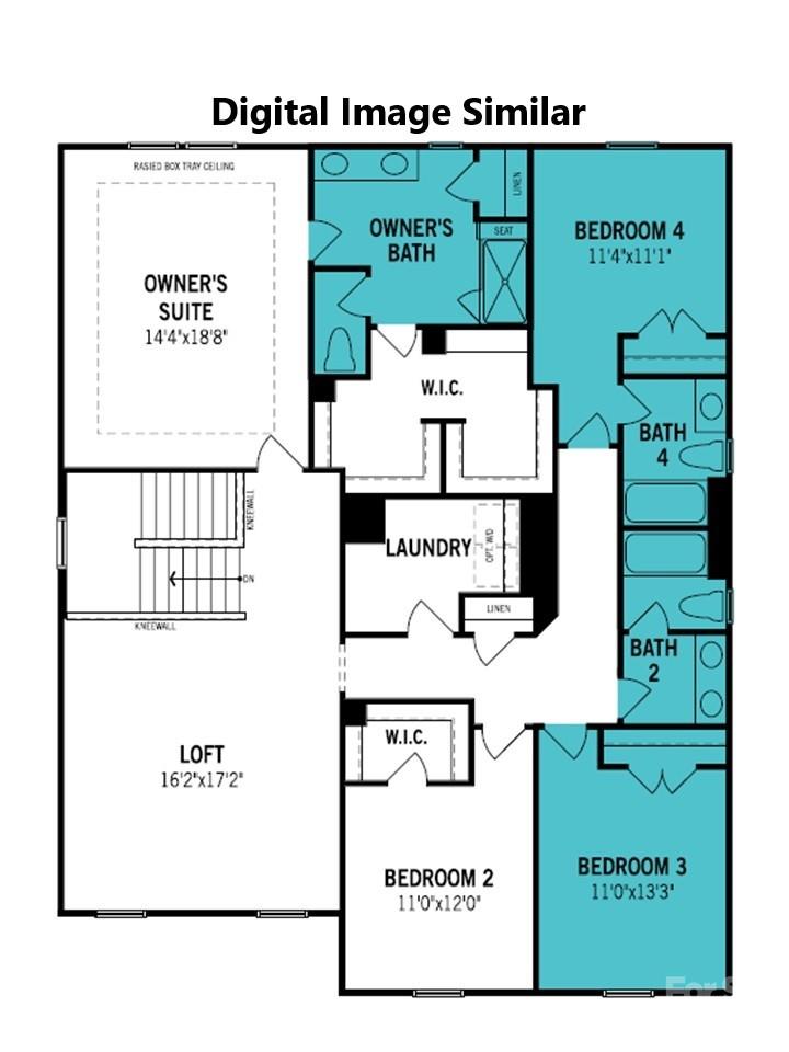 Image 4