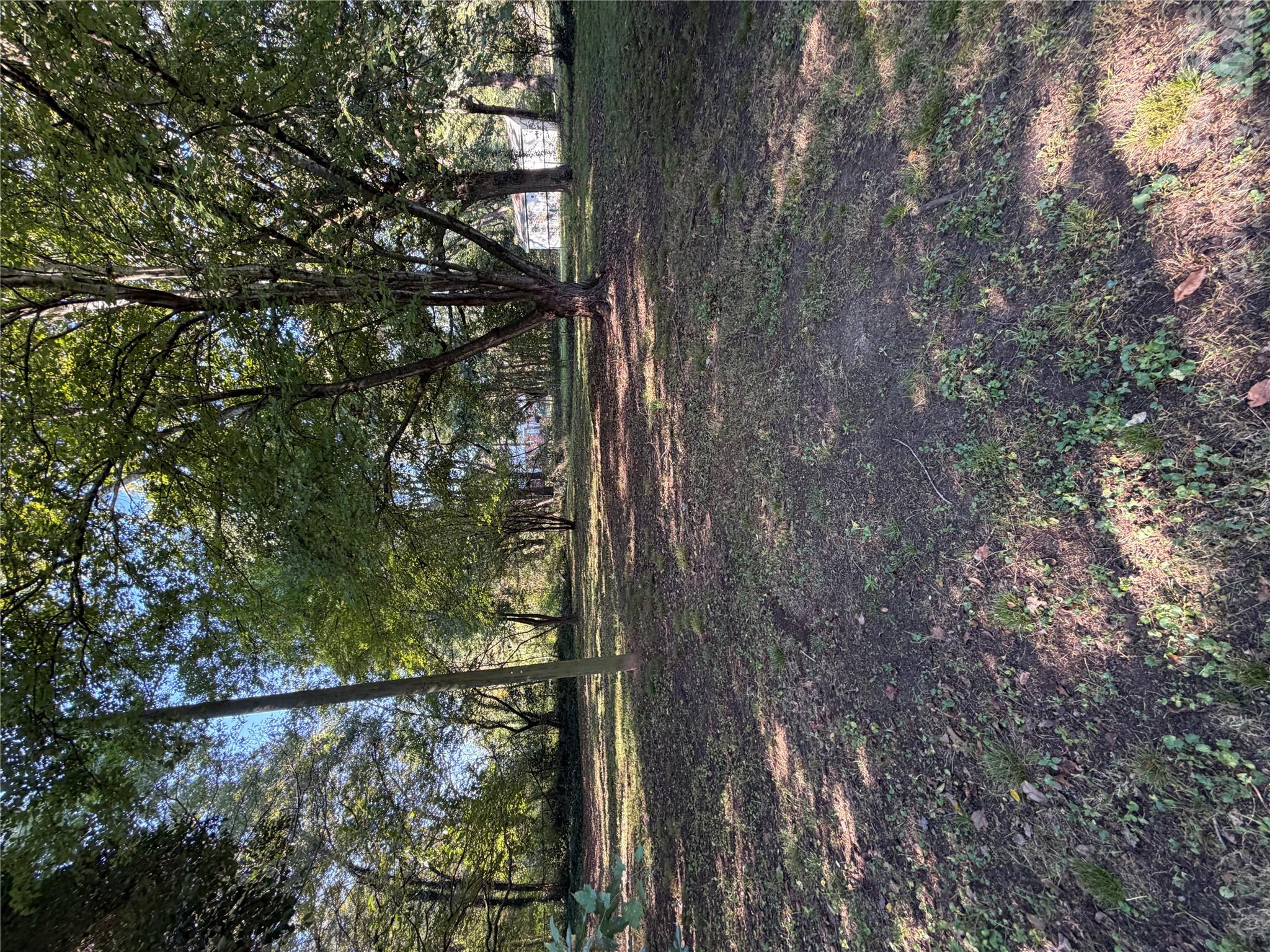 Image 18