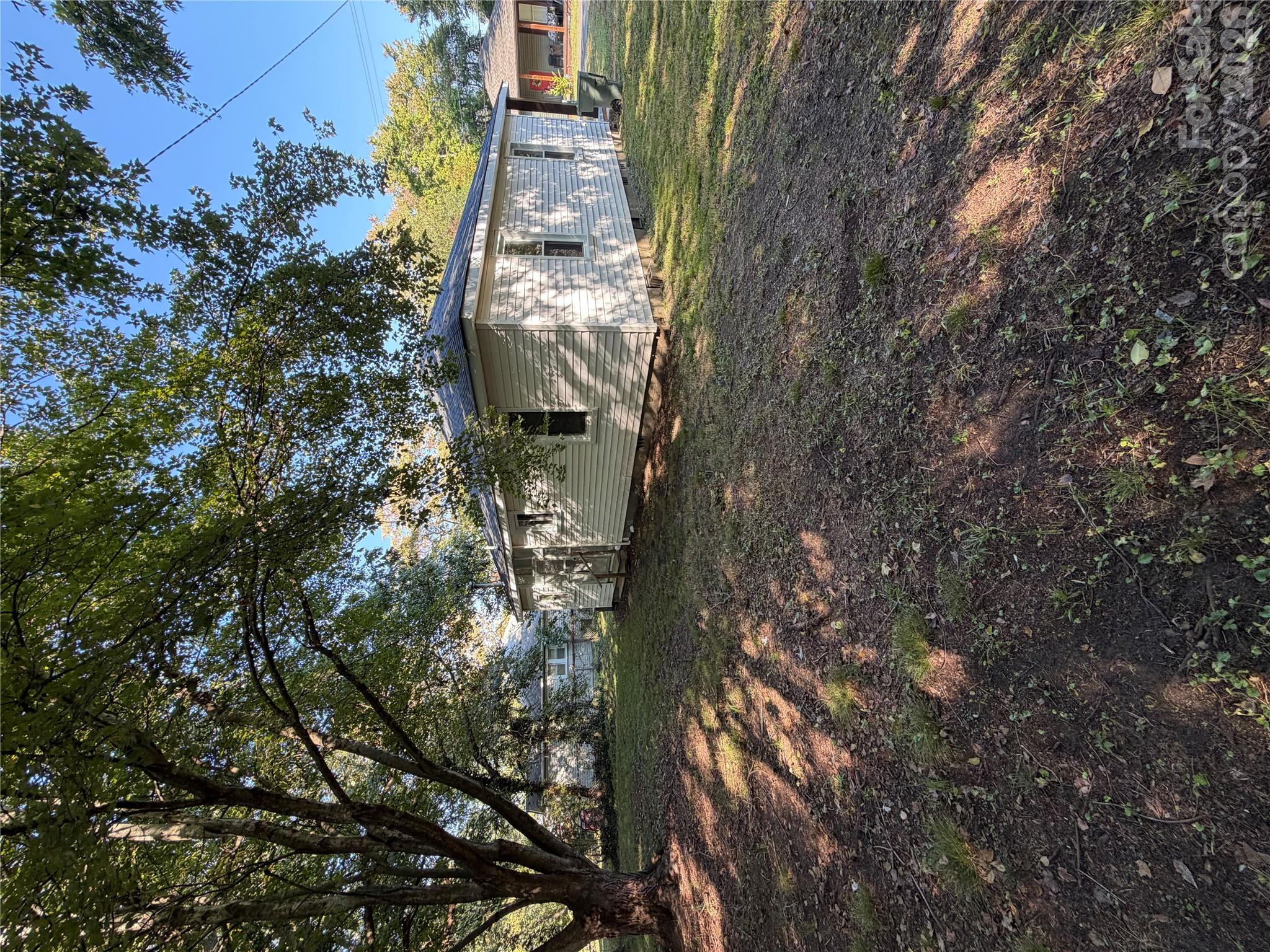 Image 19