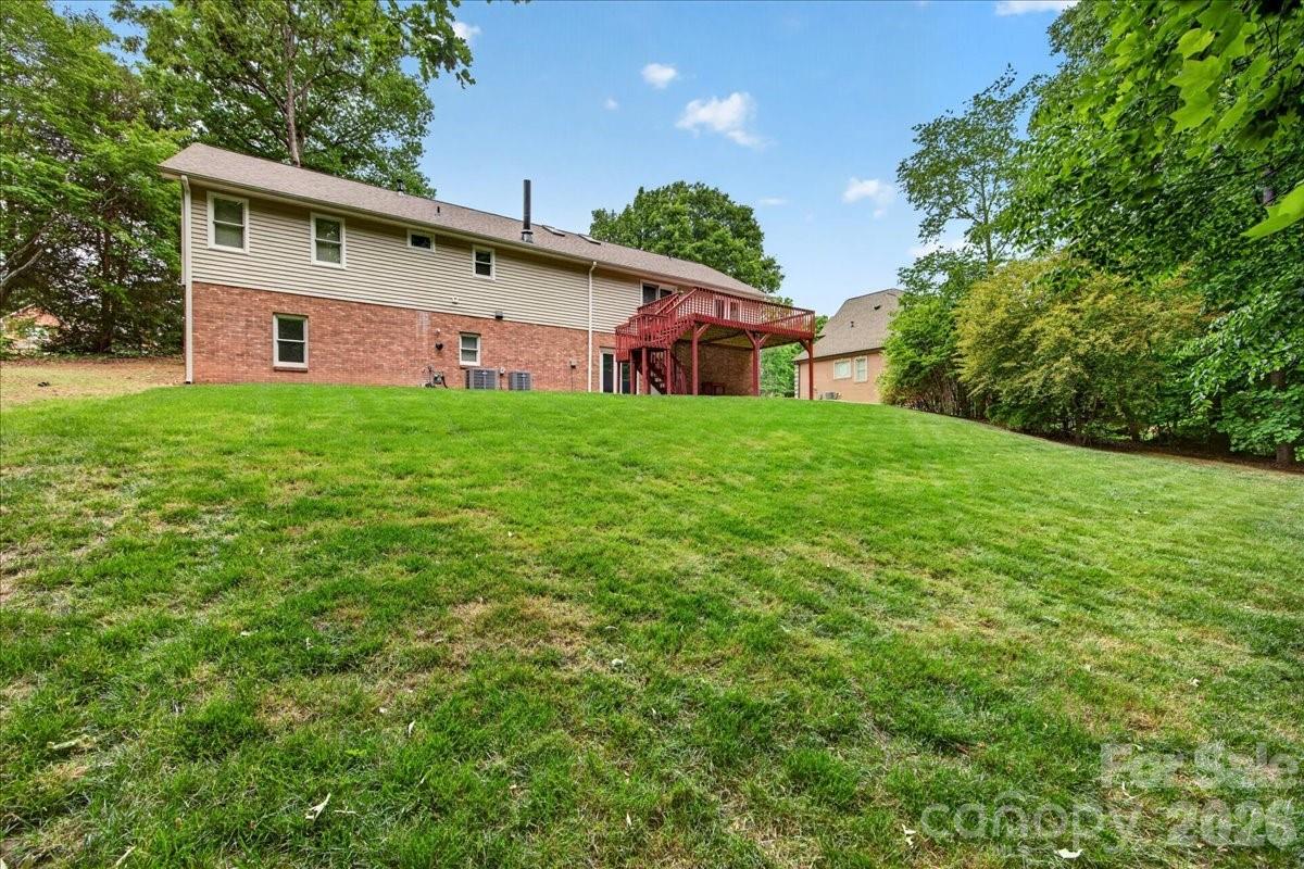 Image 46