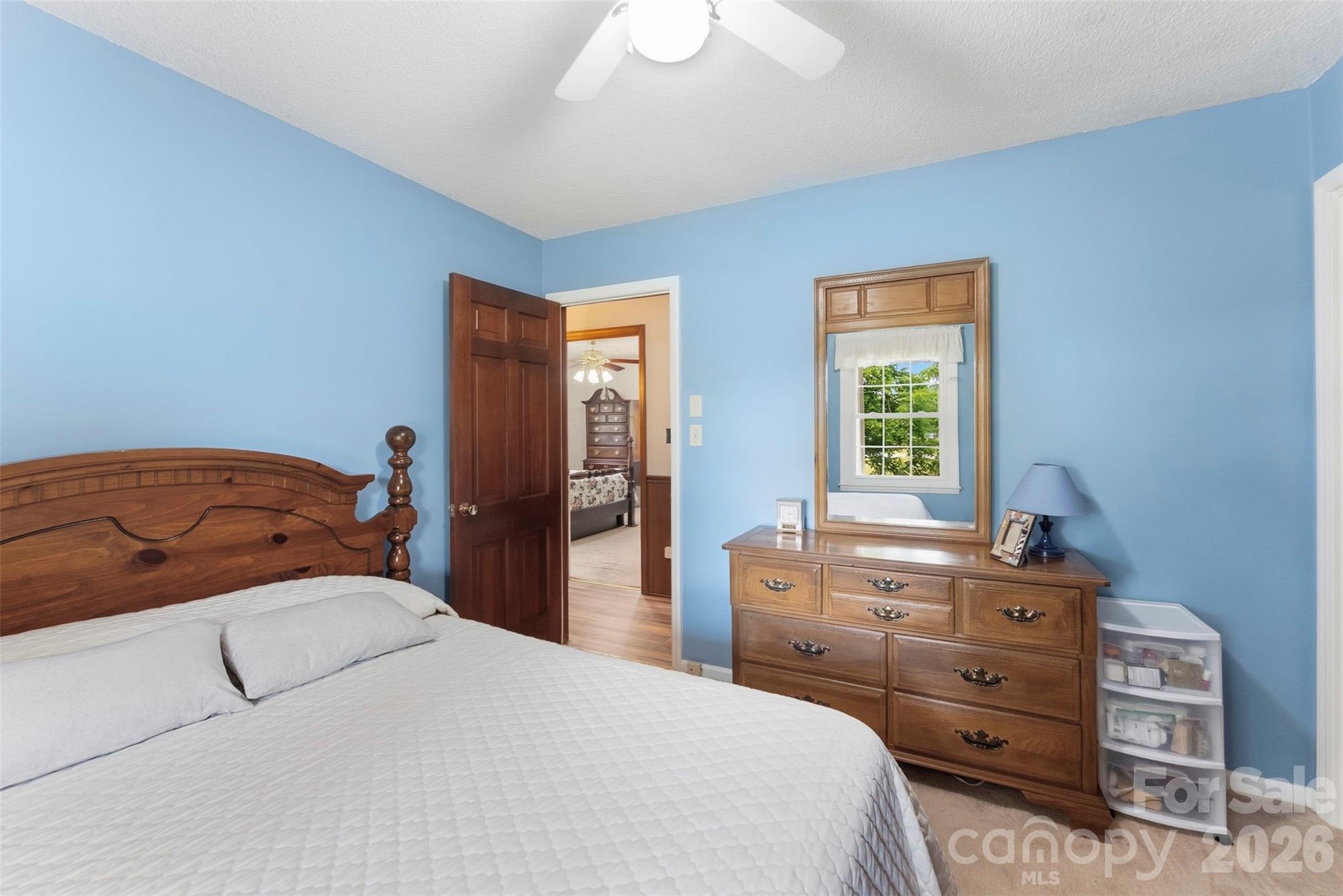 Image 19