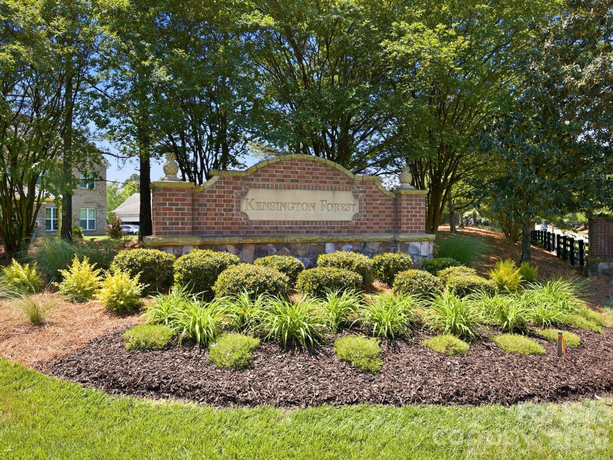 Image 31