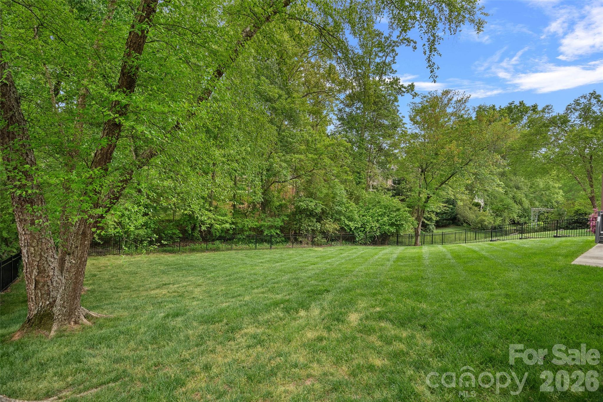 Image 45