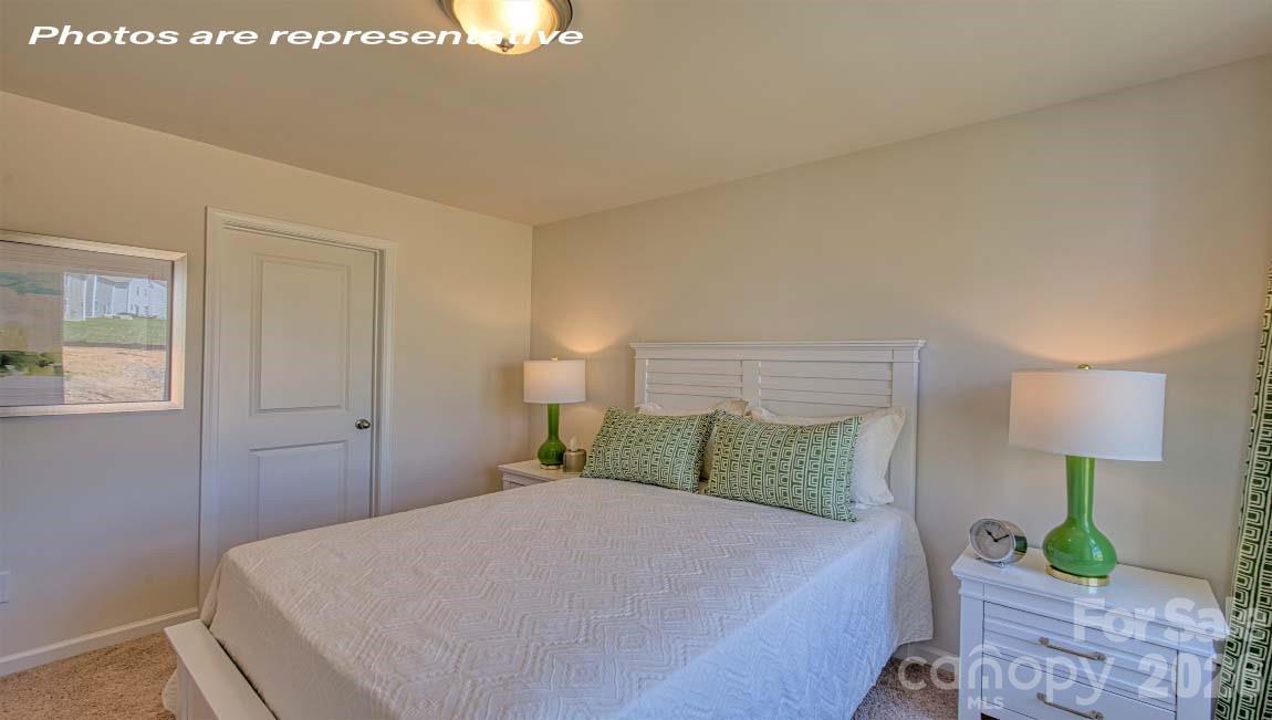 Image 23