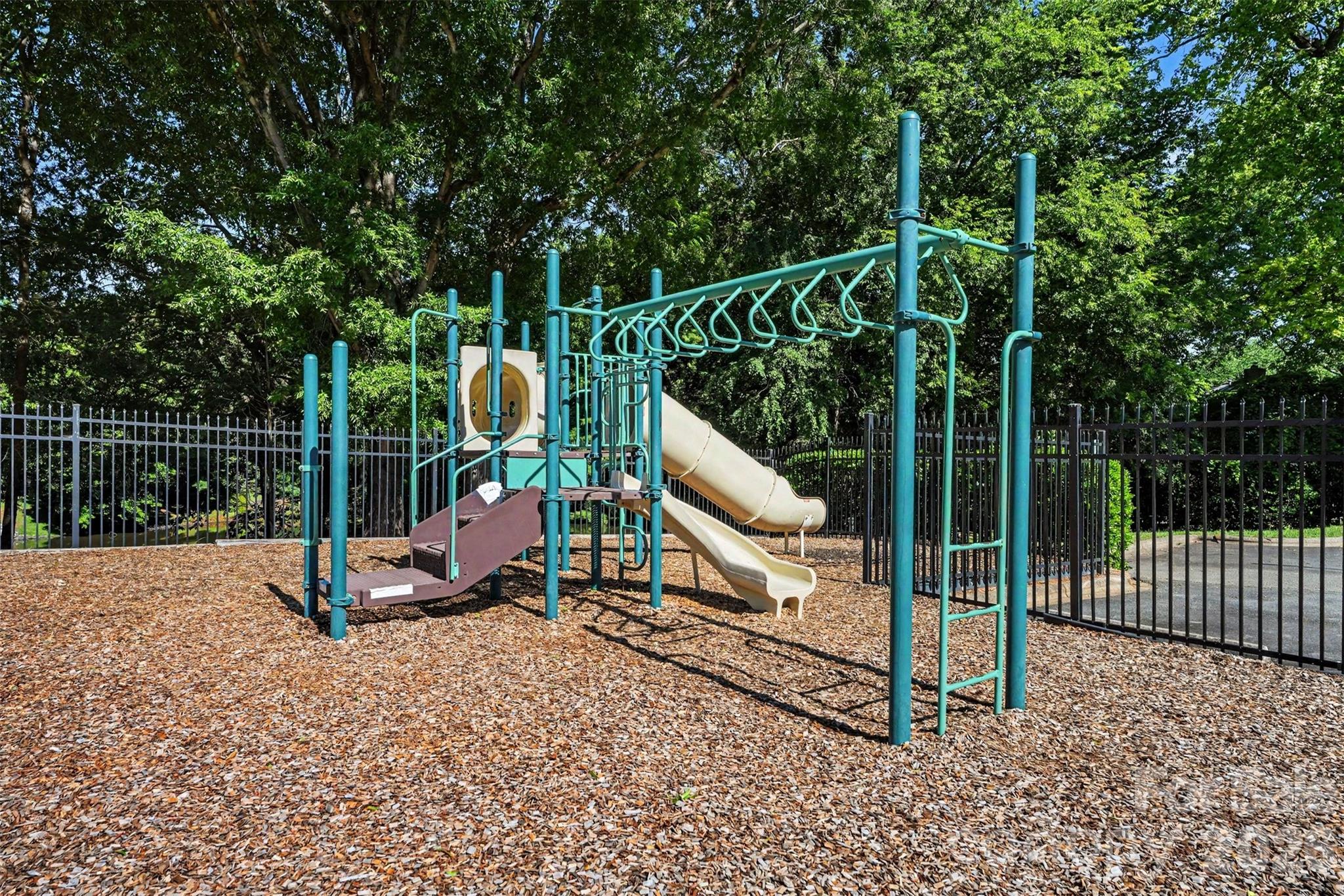 Image 30