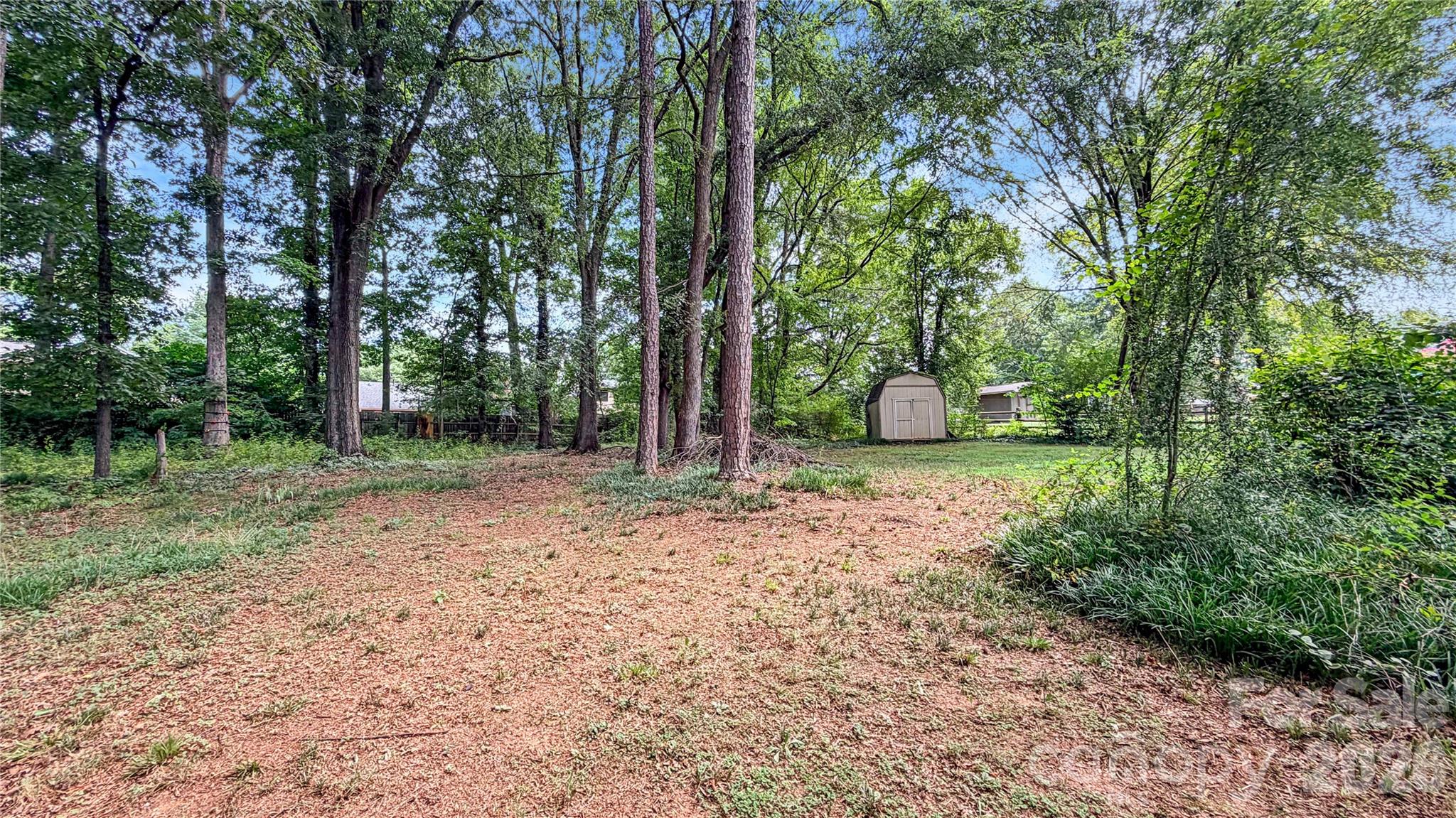 Image 13