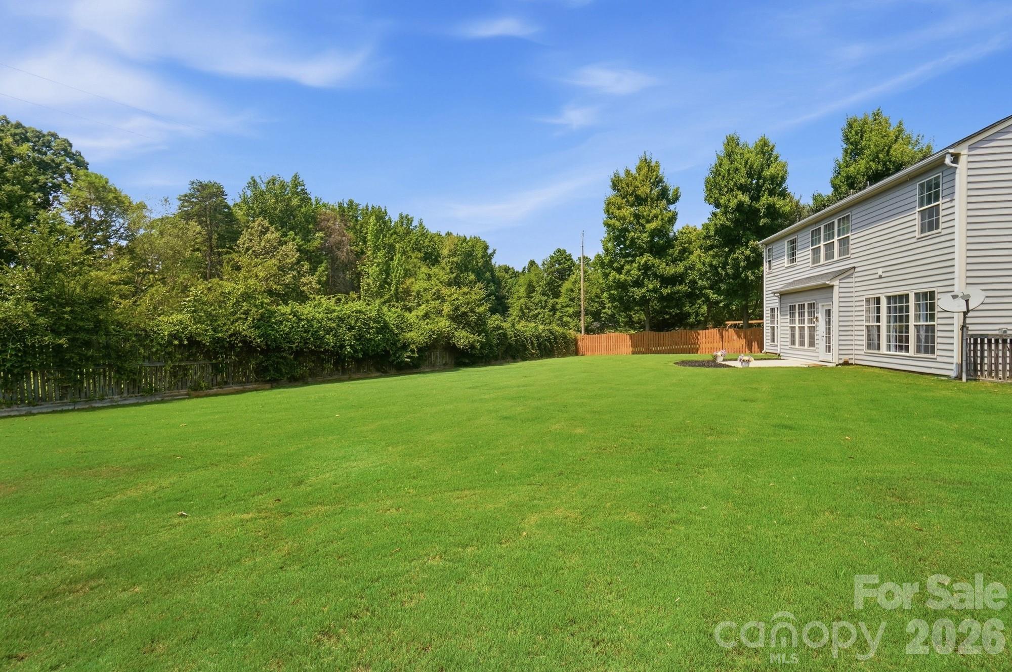 Image 40