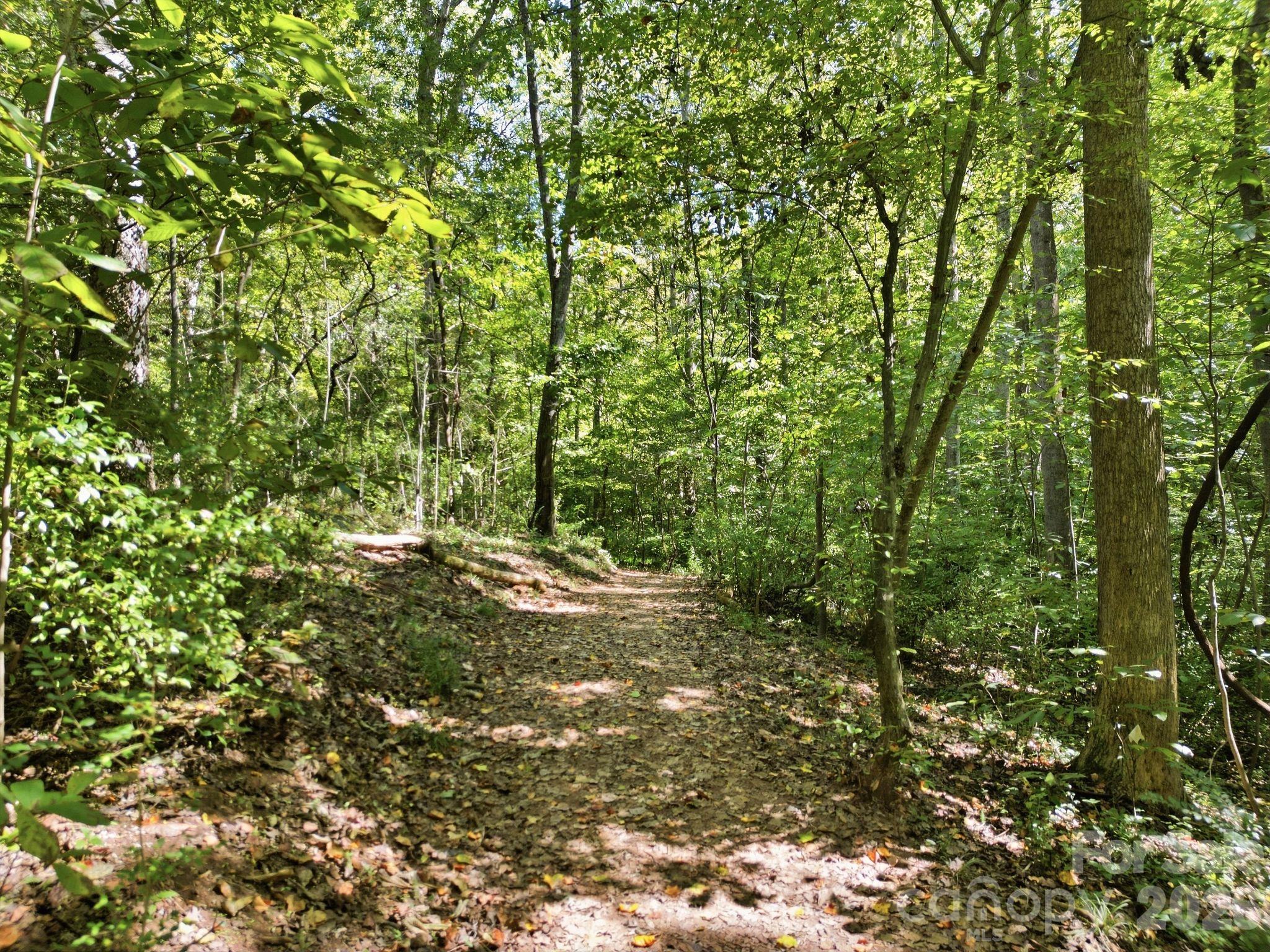 Image 46