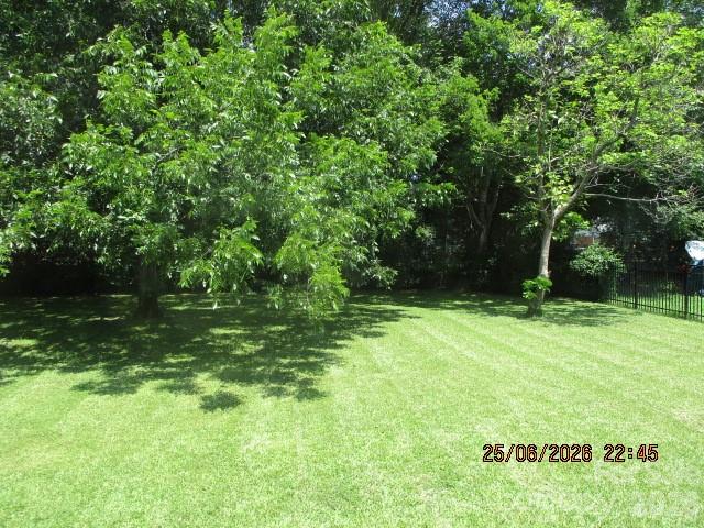 Image 13