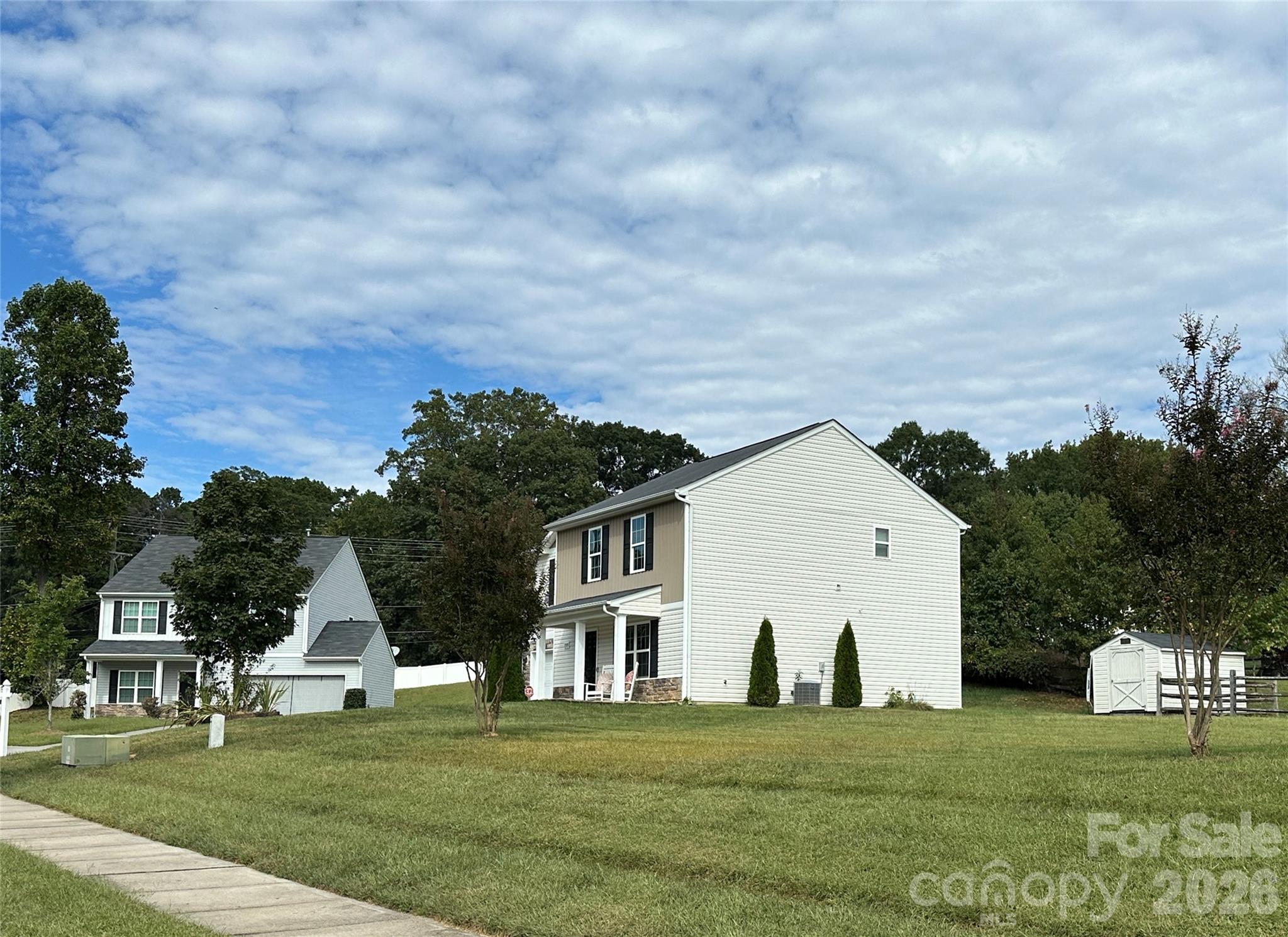 Image 19