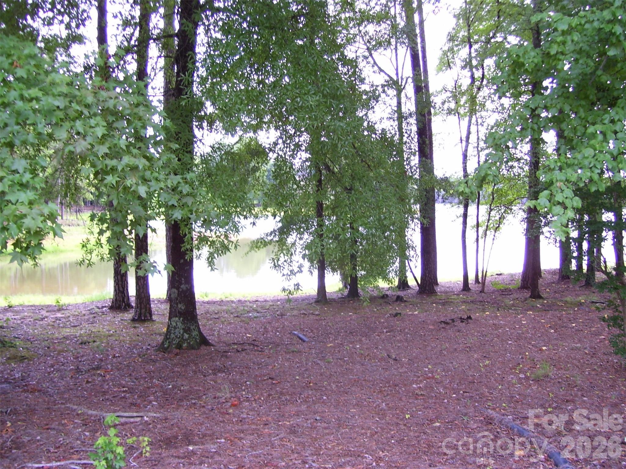 Image 33