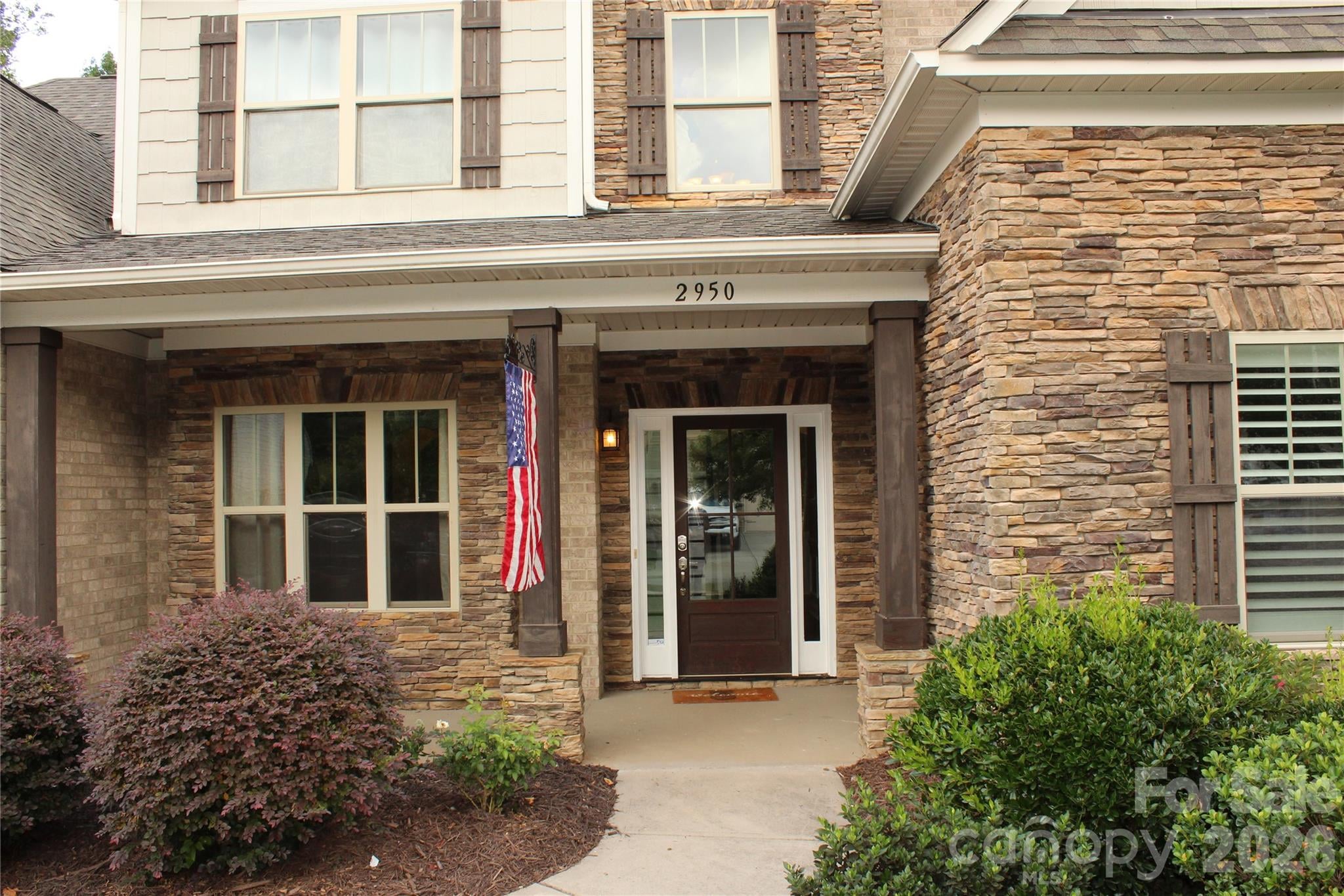 Image 4