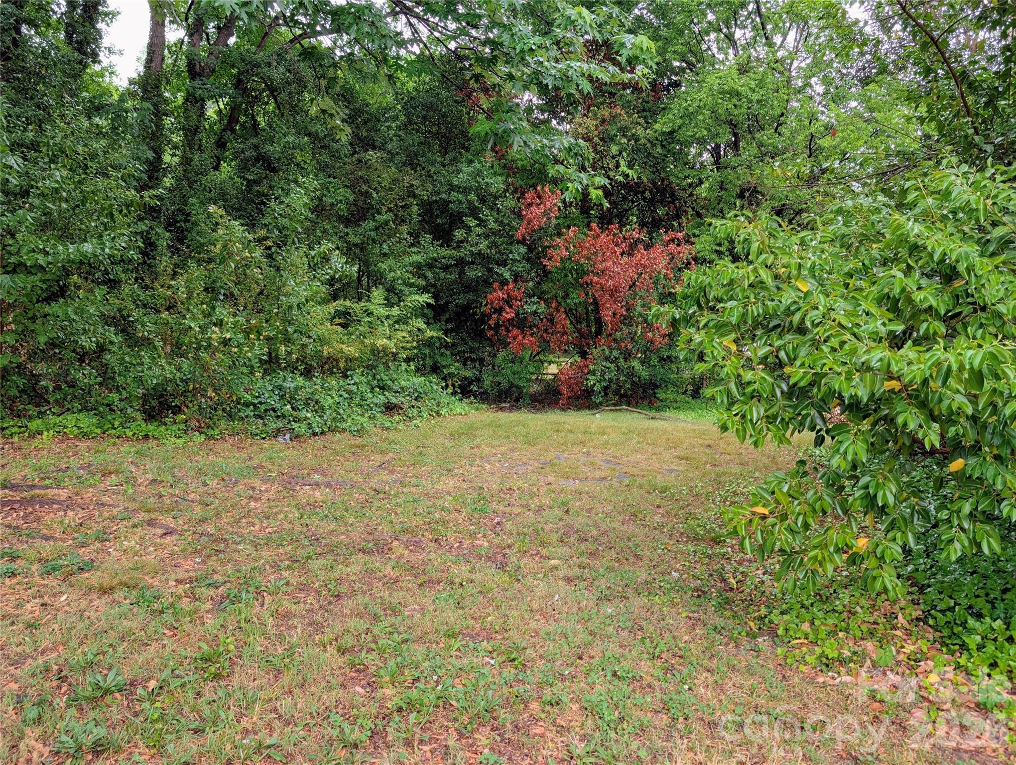 Image 30