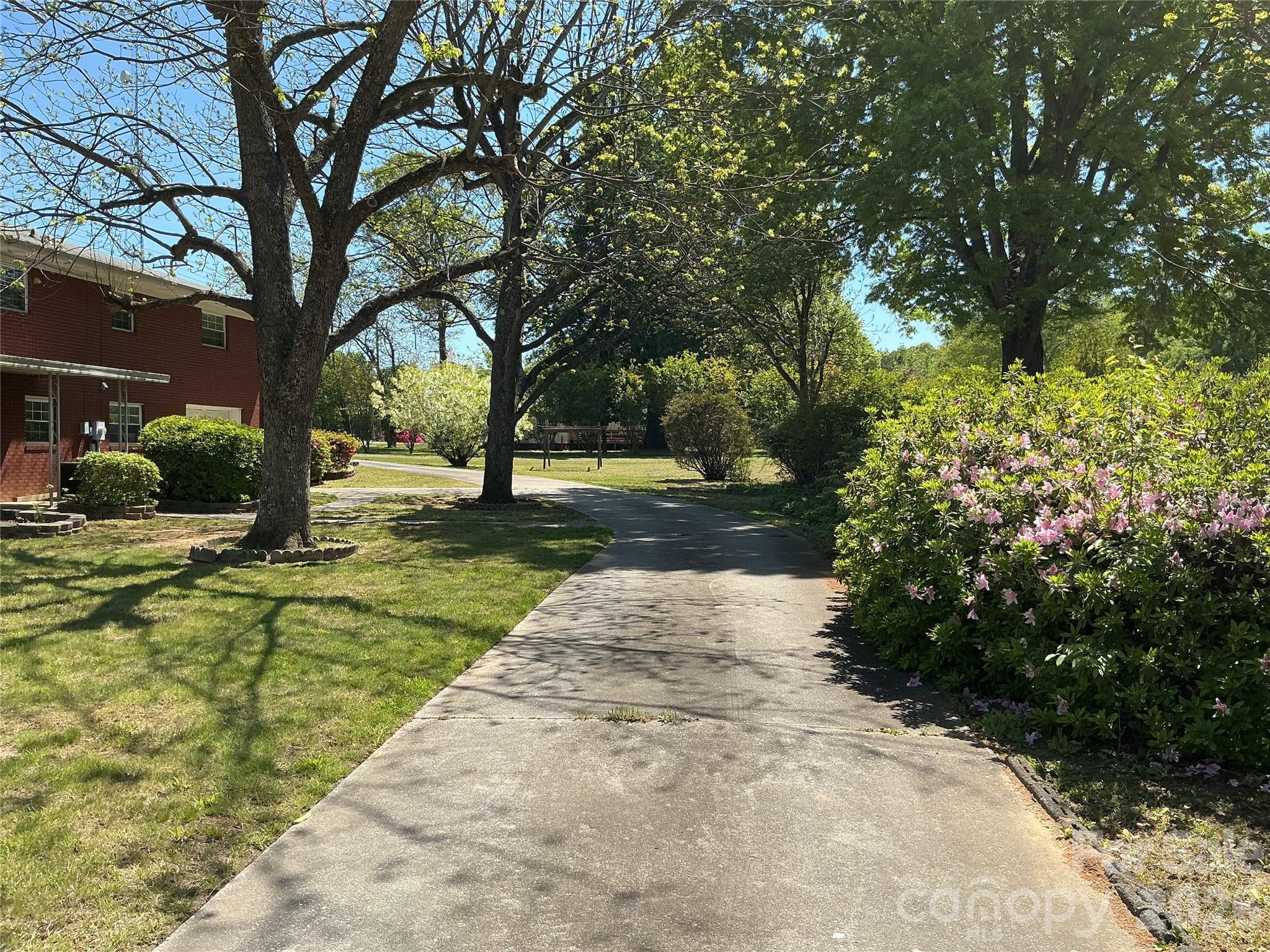 Image 13