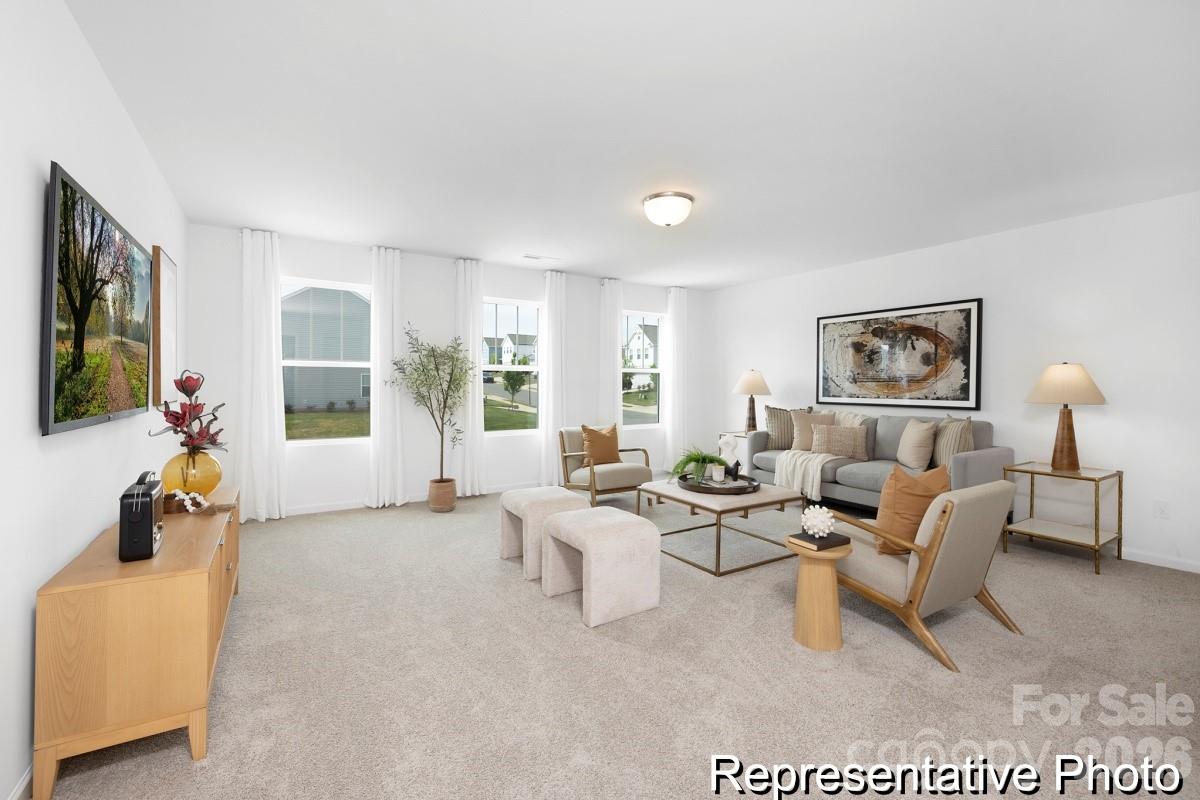 Image 29
