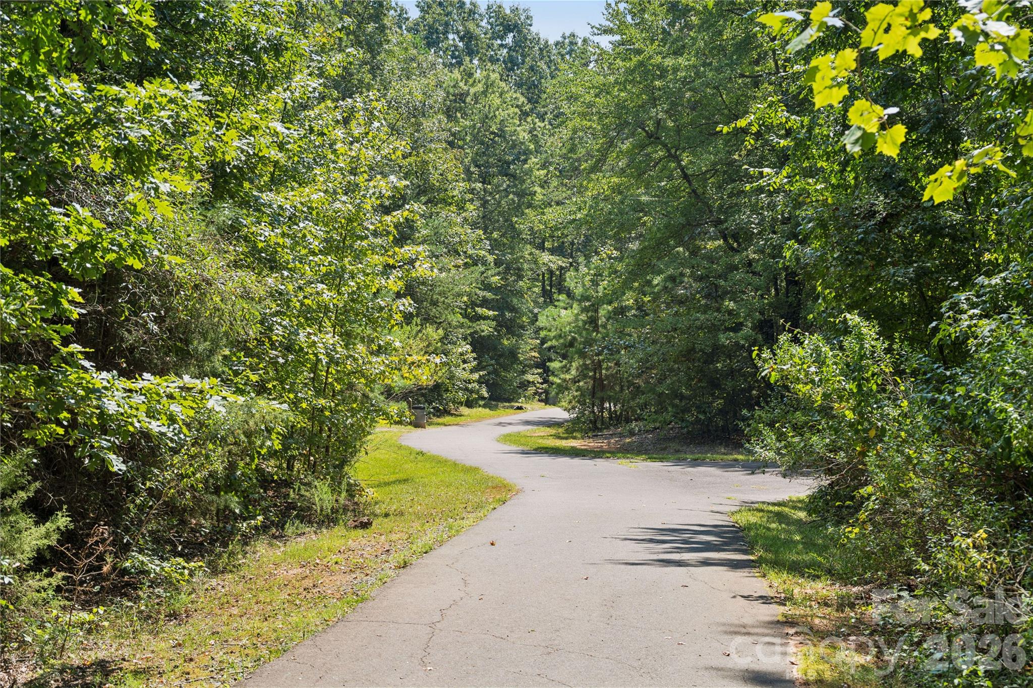 Image 41