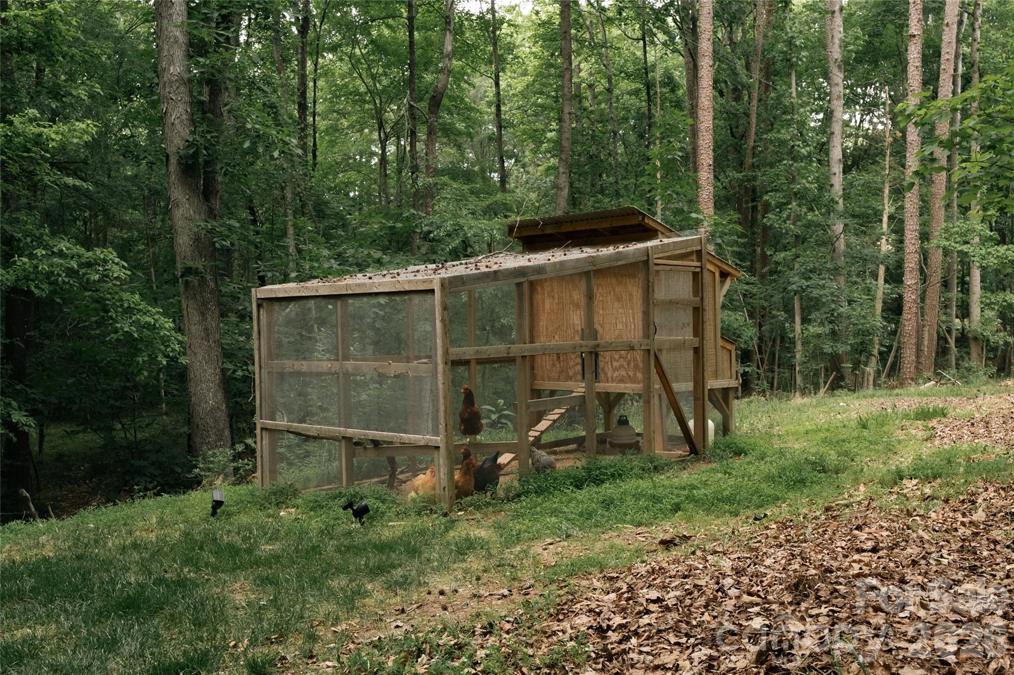 Image 42