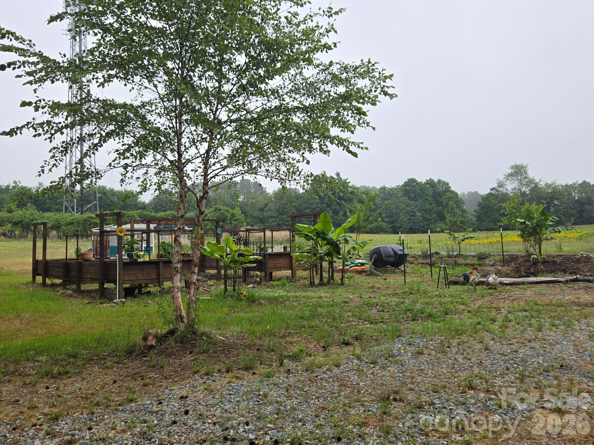 Image 41