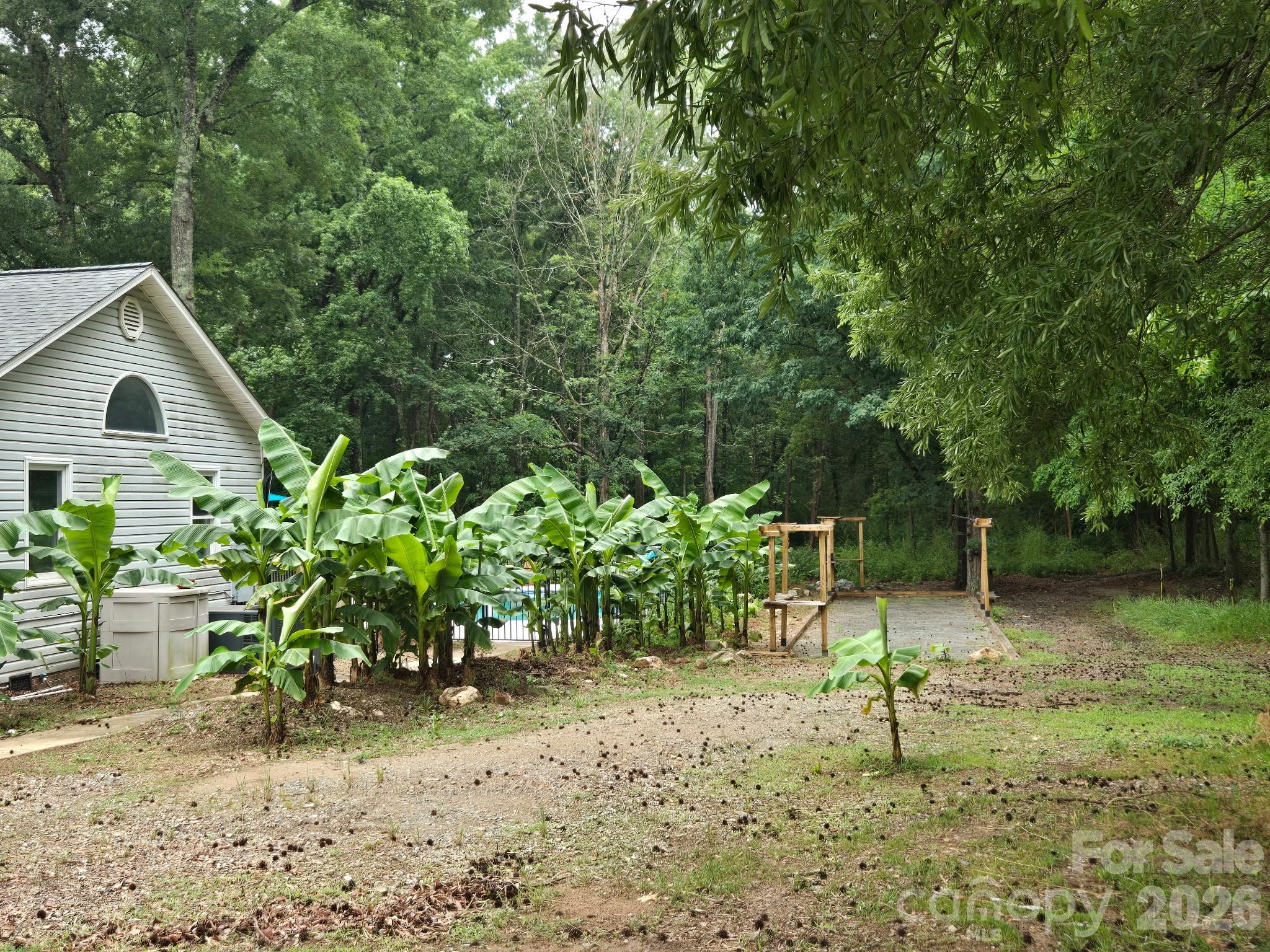 Image 42