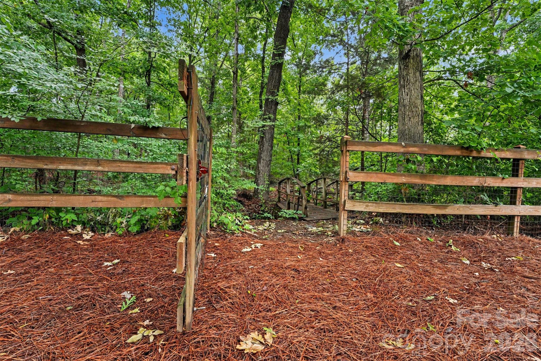 Image 15