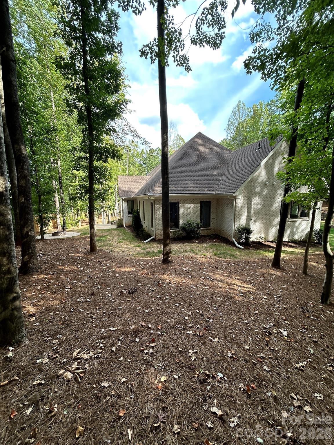 Image 13