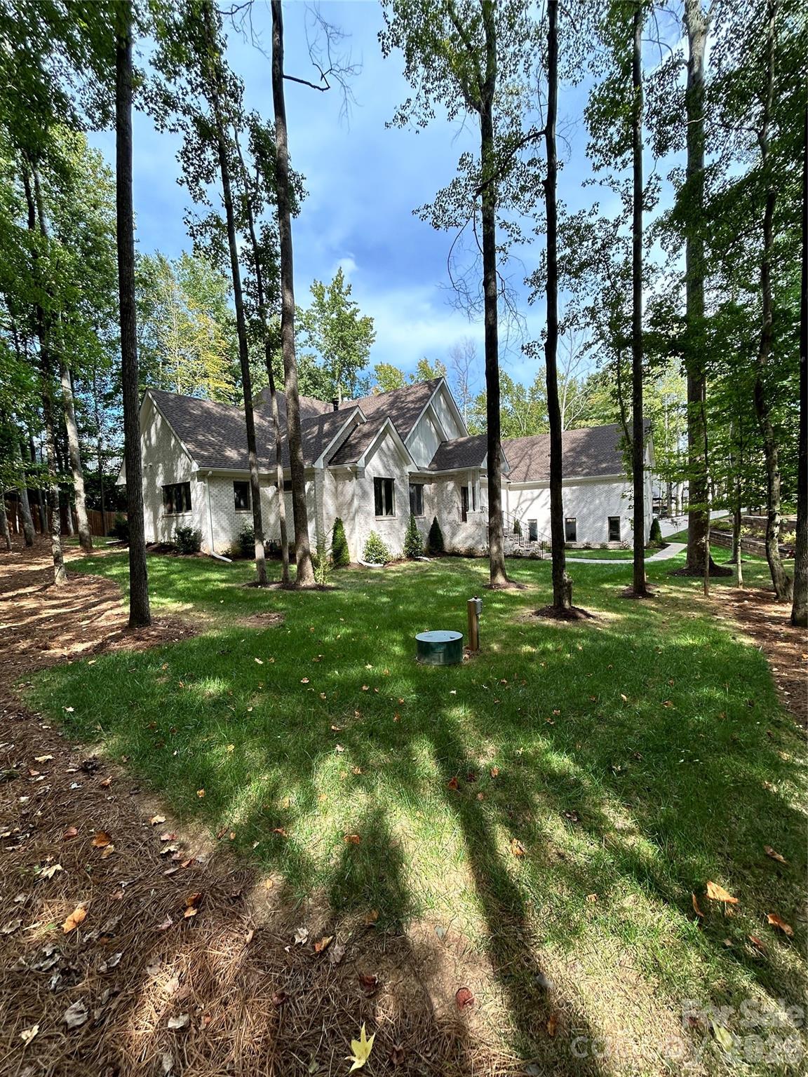 Image 14