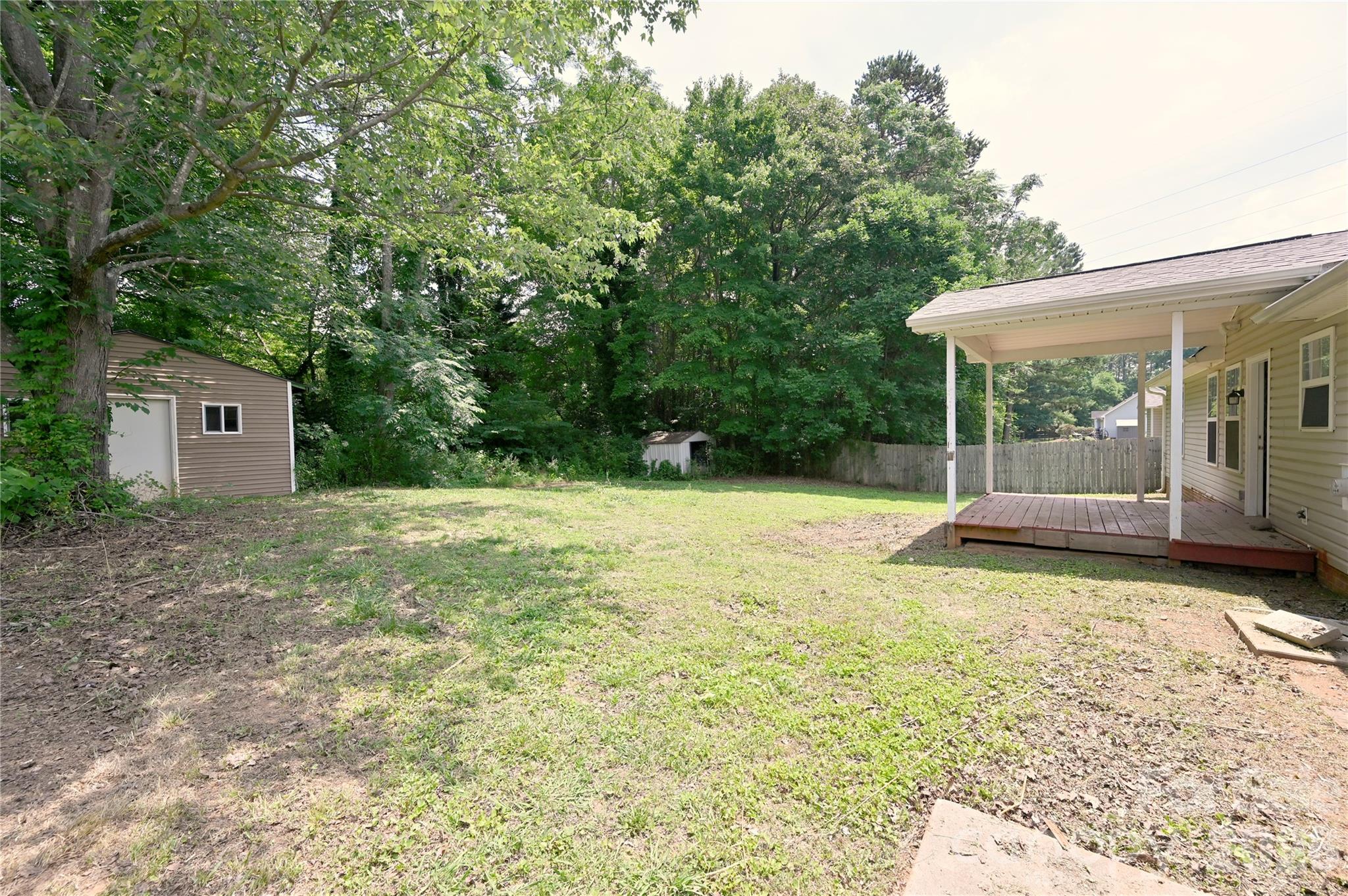 Image 19